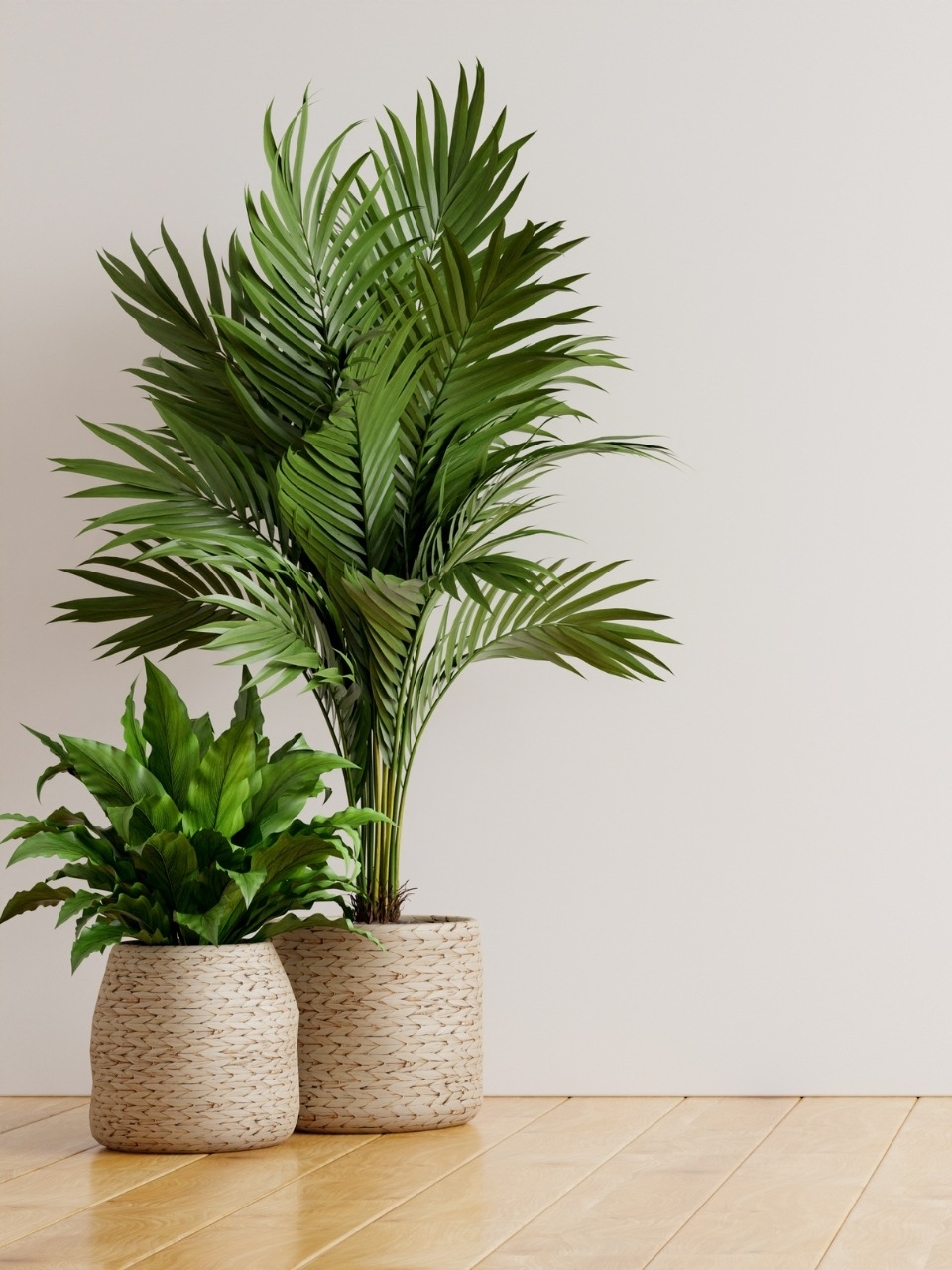 7 Low-maintenance indoor plants that won't break the bank