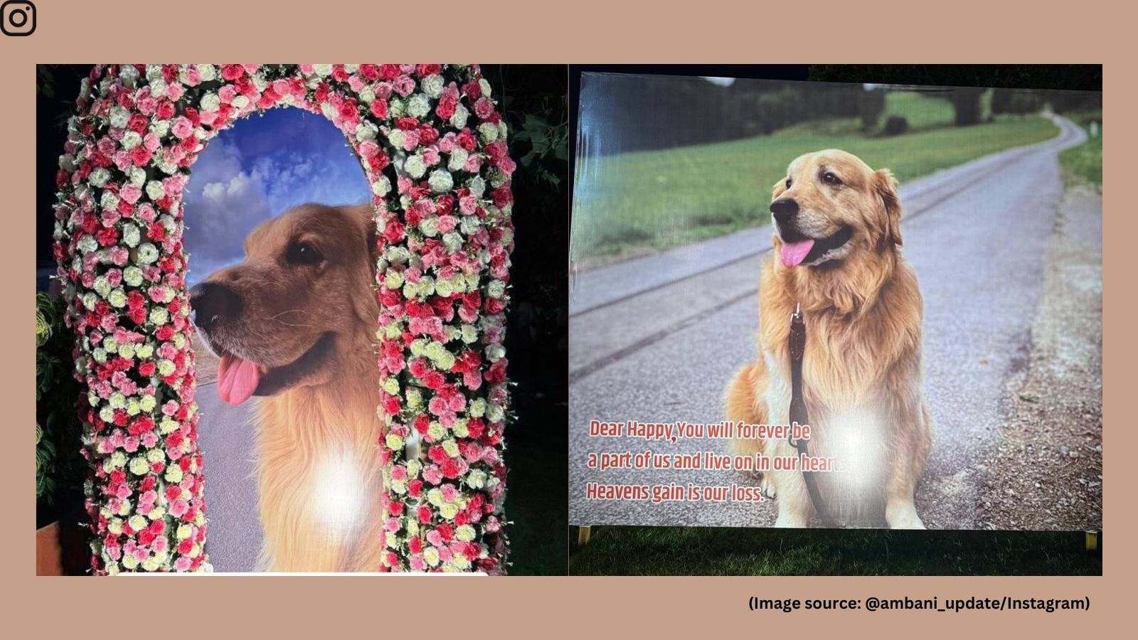 Mukesh Ambani's beloved pet dog Happy dies, family shares emotional note