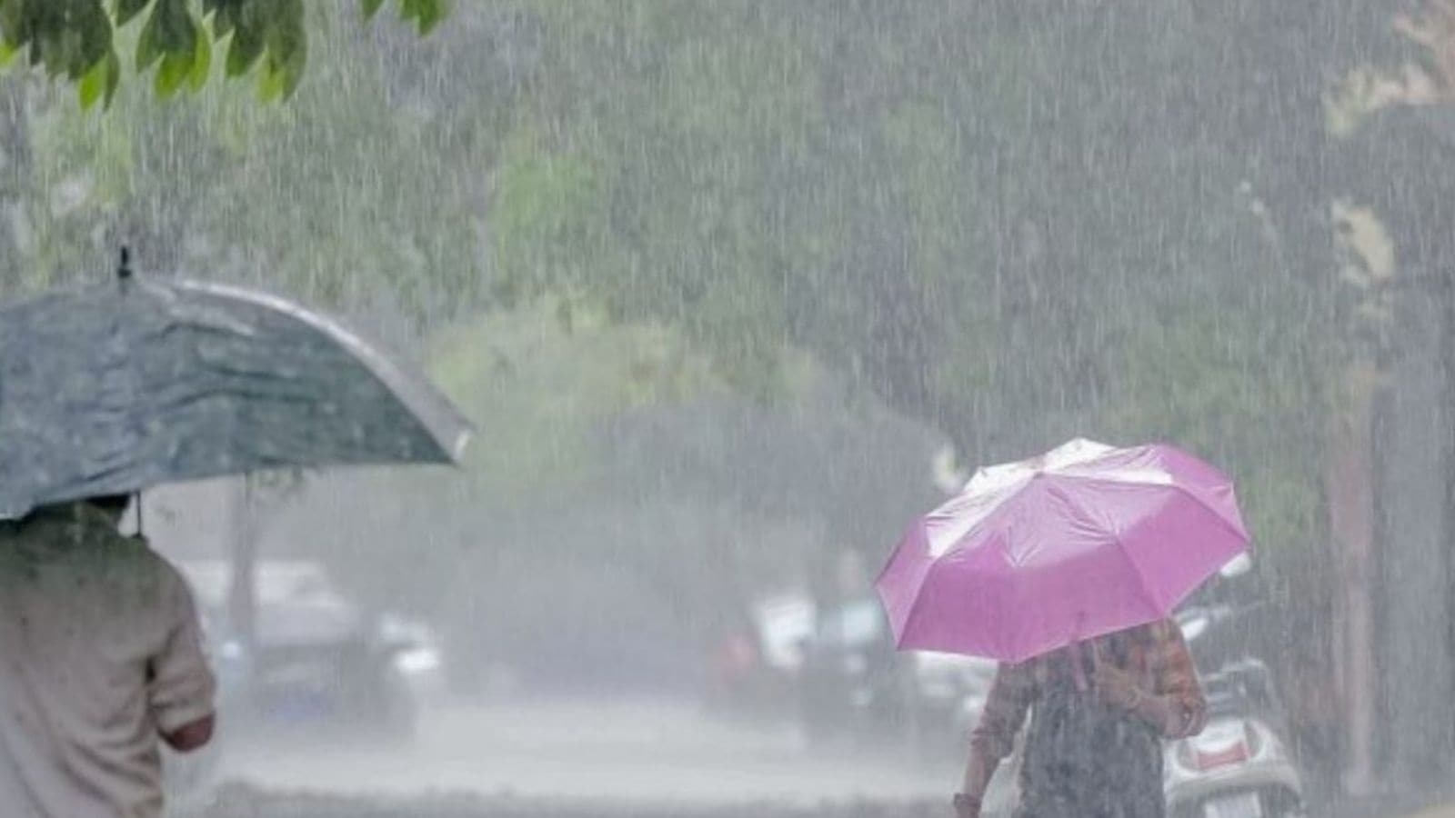 Rain lashes over 160 talukas in Gujarat in 24 hours, no relief till Sunday
