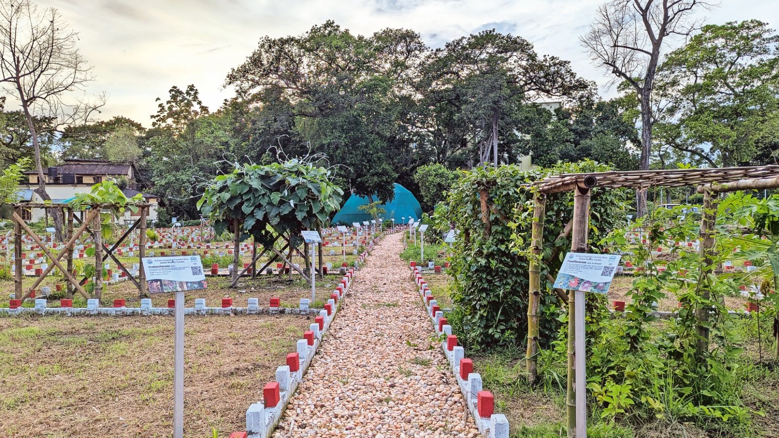 Built on 2-acre plot: Living plant library set to bloom in Shibpur