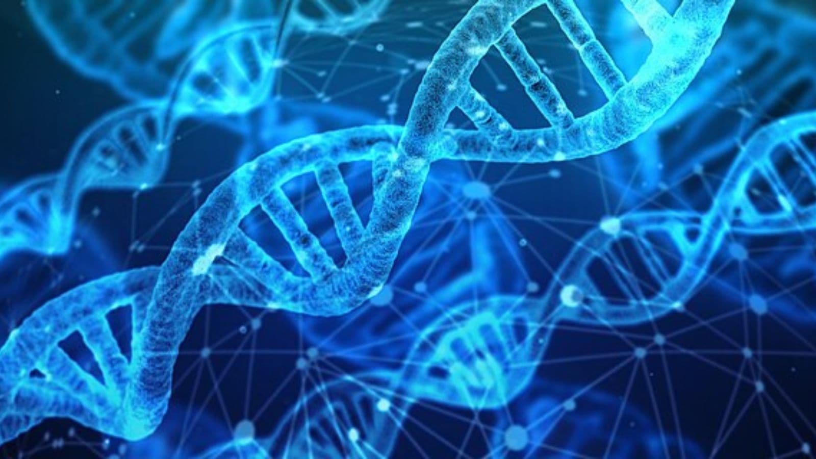 Rare genetic disorder detected in Brazilian town where ‘everyone is a cousin'