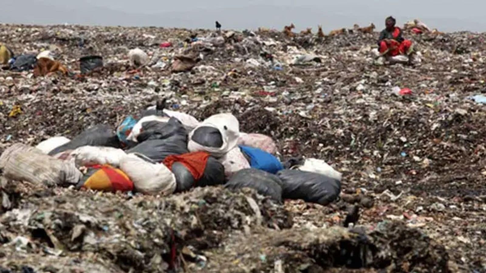 Timeframe to clear waste, availability of land parcels: Contractors raise queries about clearing legacy waste from Deonar dumping ground