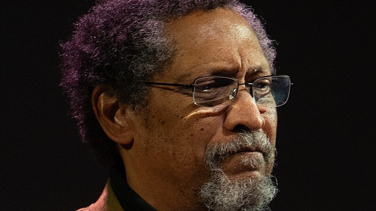 Percival Everett, Branden Jacobs-Jenkins, Susie Ibarra take home 2025 Pulitzer Prizes in arts