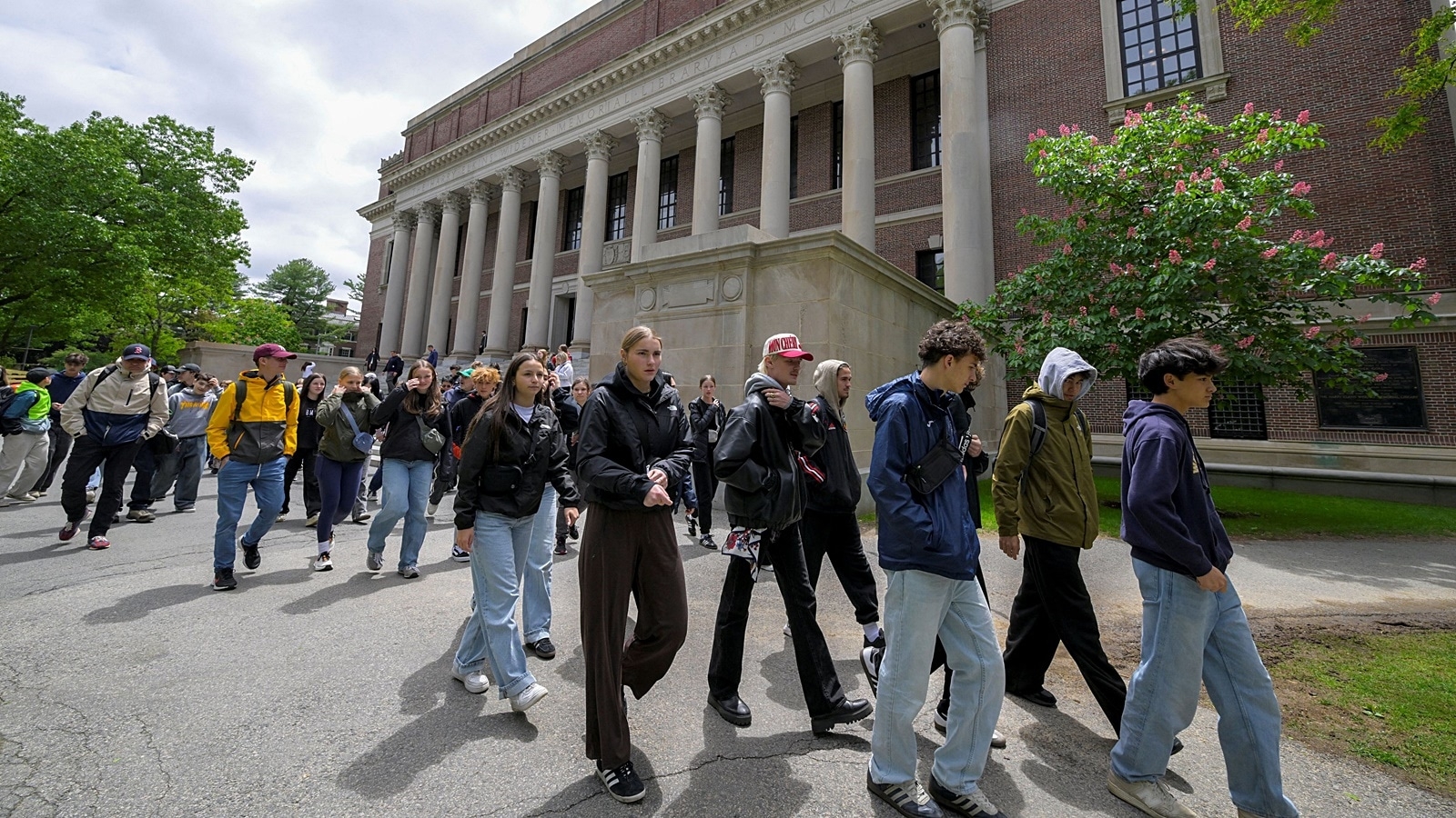 Why Trump's escalating war on Harvard, other US universities could progressively dent American academic leadership, impact economy