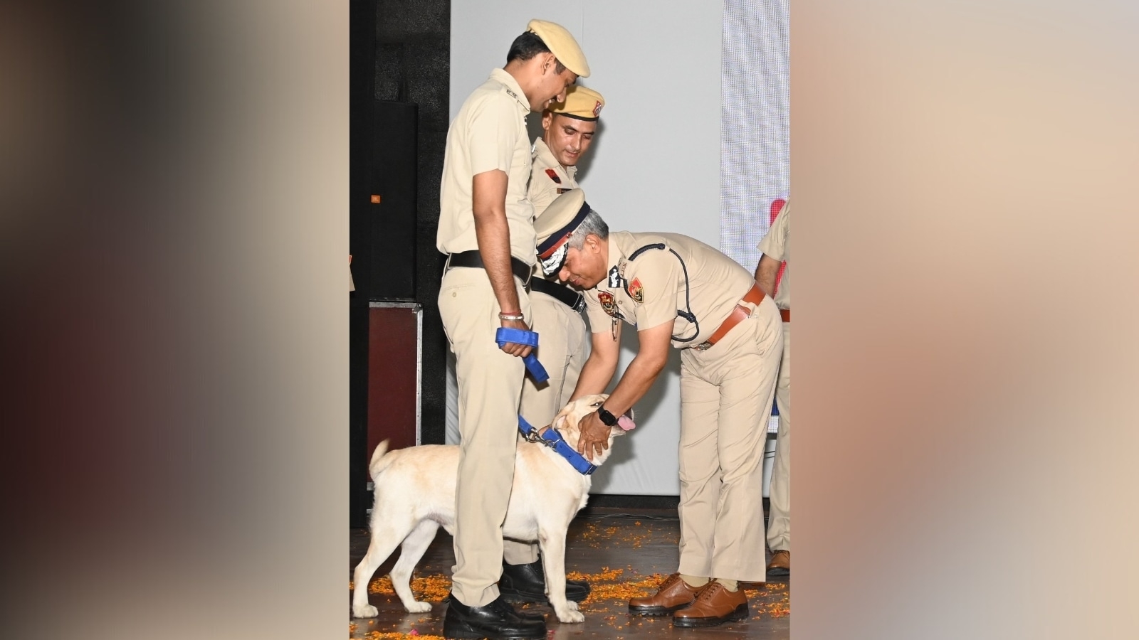 From Hisar's Rambo to Sonipat's Tom, Haryana Police's ‘K9 warriors' set to break records in fight against drugs