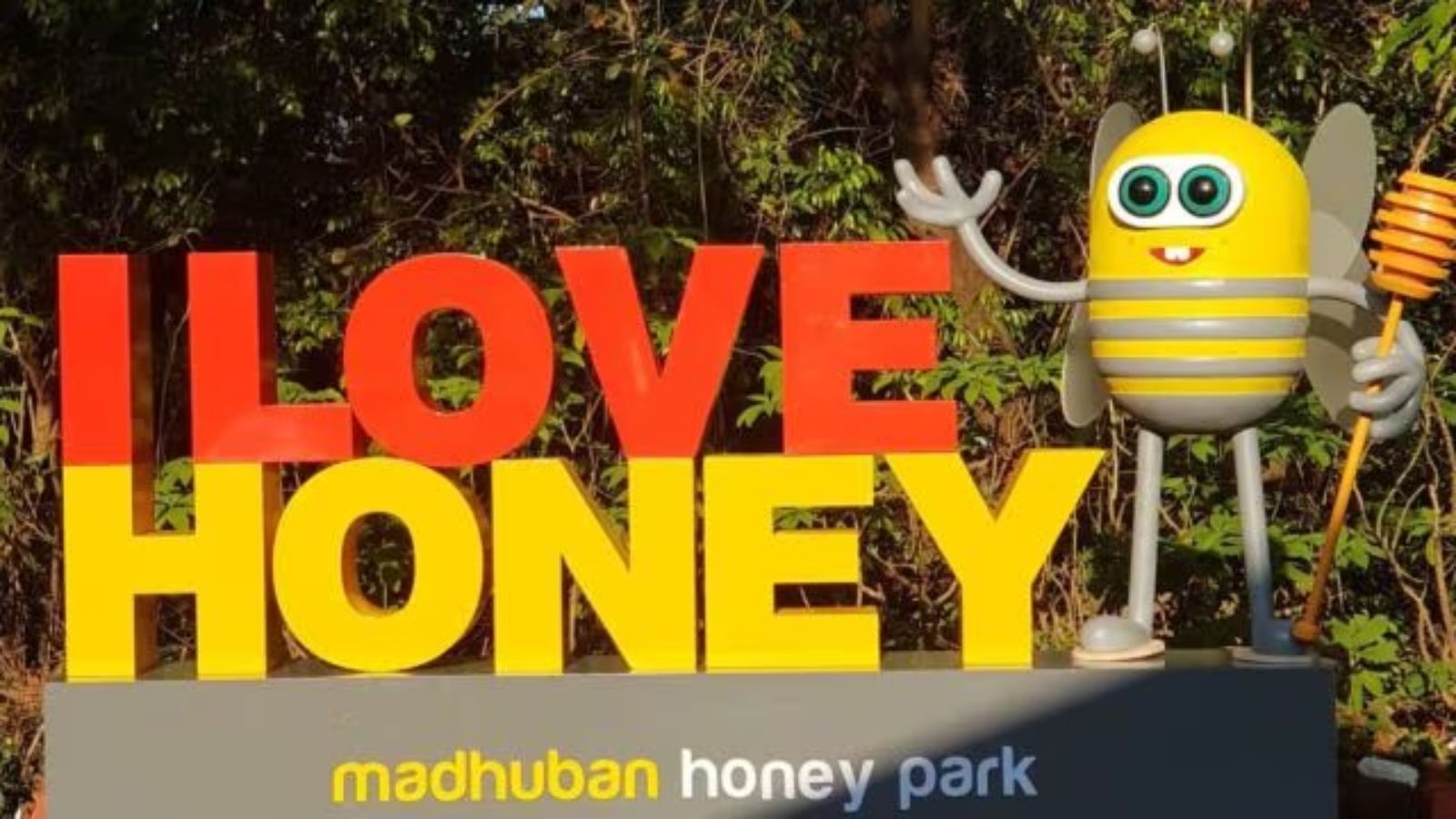 Maharashtra's Mahabaleshwar beckons visitors to experience first-ever ‘Honey Bee Tourism'