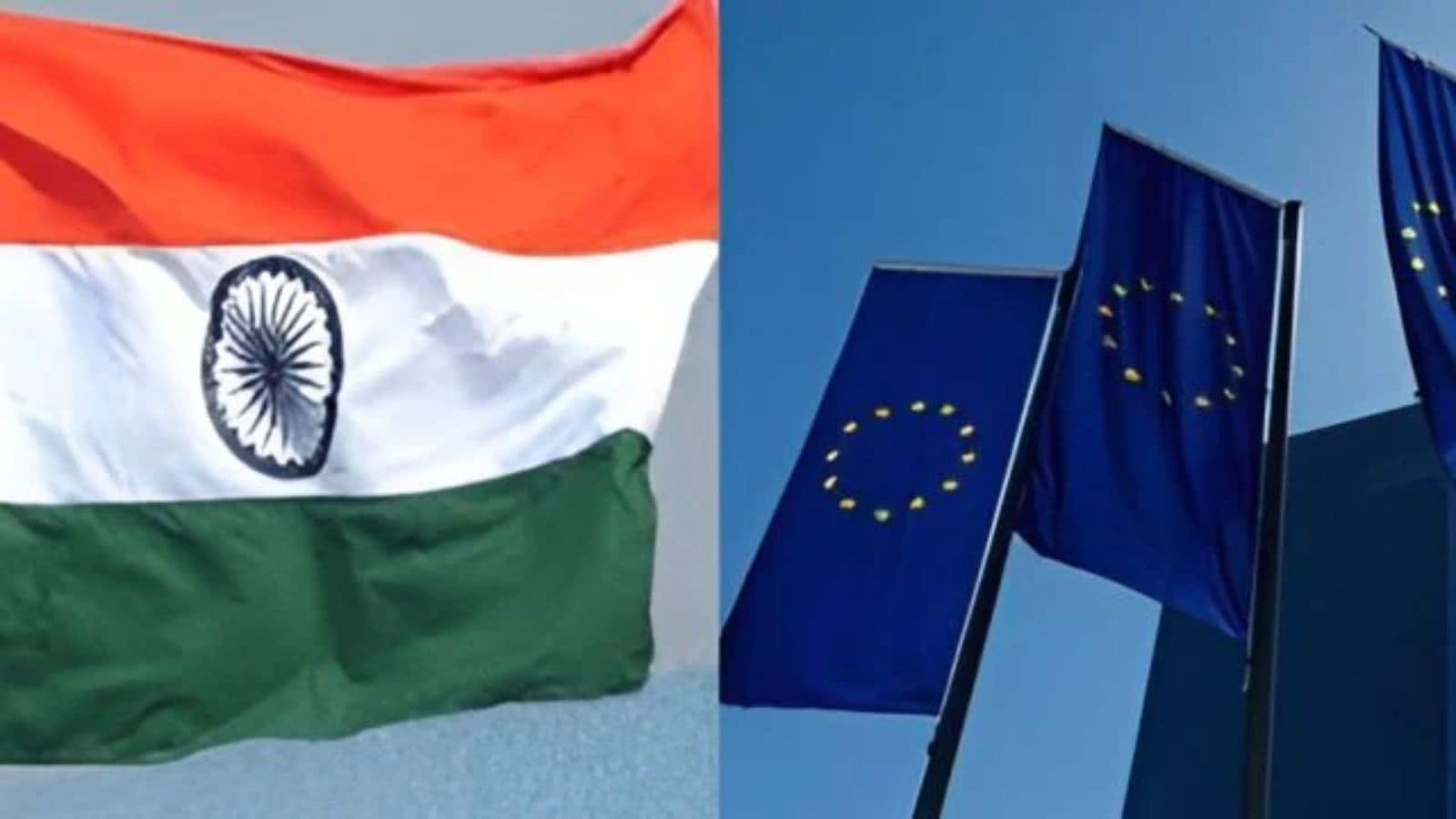 India-EU trade deal negotiations: Differences over food safety rules persist, ‘intense work needed' says EU report