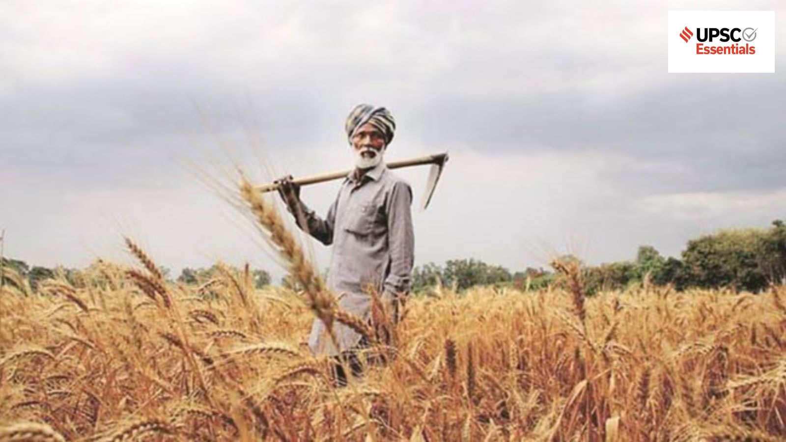 Daily subject-wise quiz : Economy MCQs on India's agricultural trade, oilseeds covered under MSP and more (Week 112)
