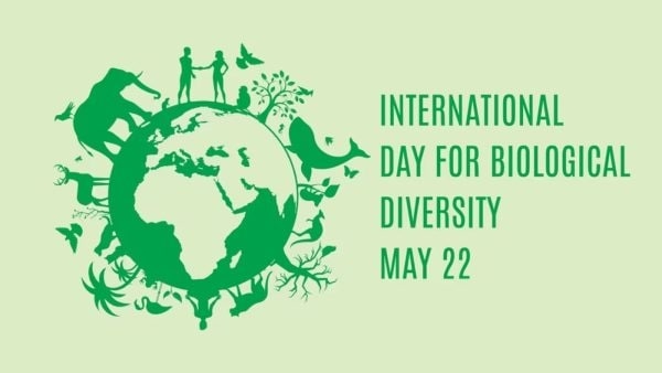 International Day for Biological Diversity 2025: Know the date, theme, history, and significance