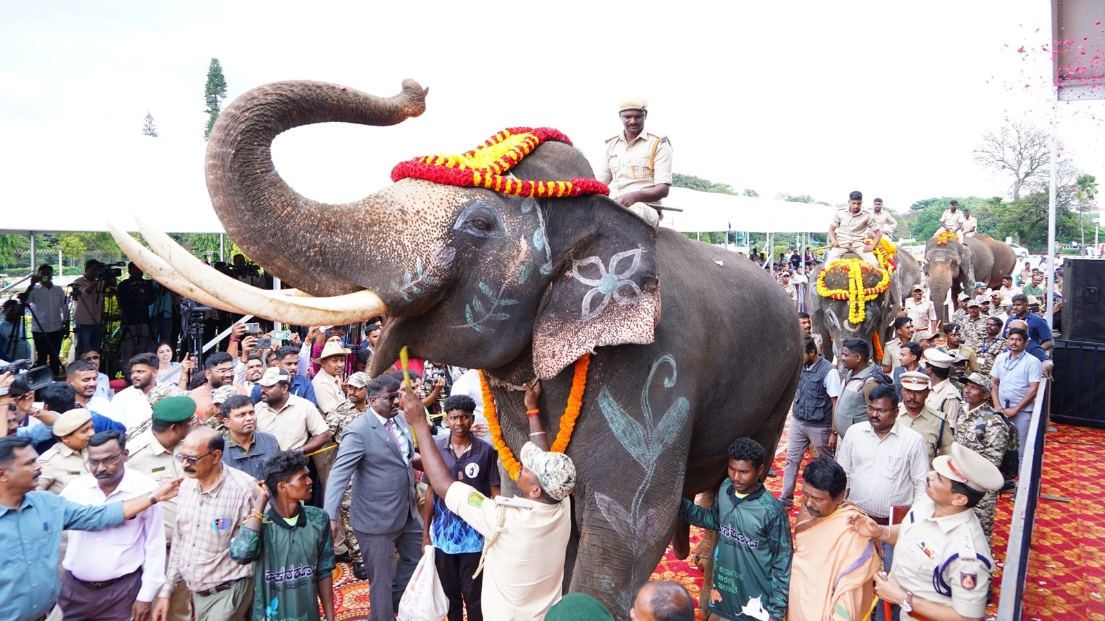 Karnataka transfers trained Kumki elephants to Andhra. What's special about the tuskers?
