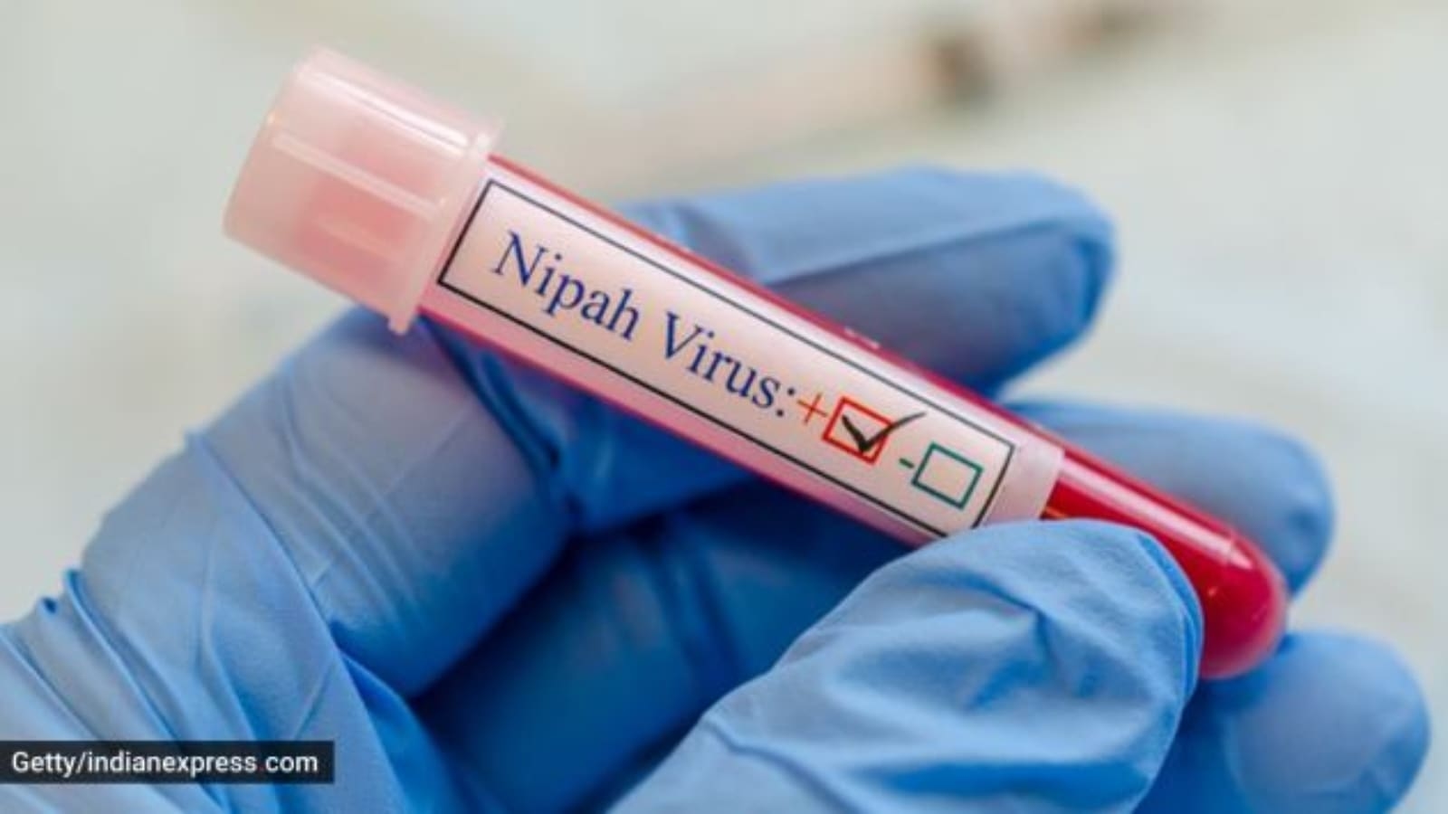 42-year-old woman tests positive for Nipah virus in Kerala, Health Minister heads to Malappuram