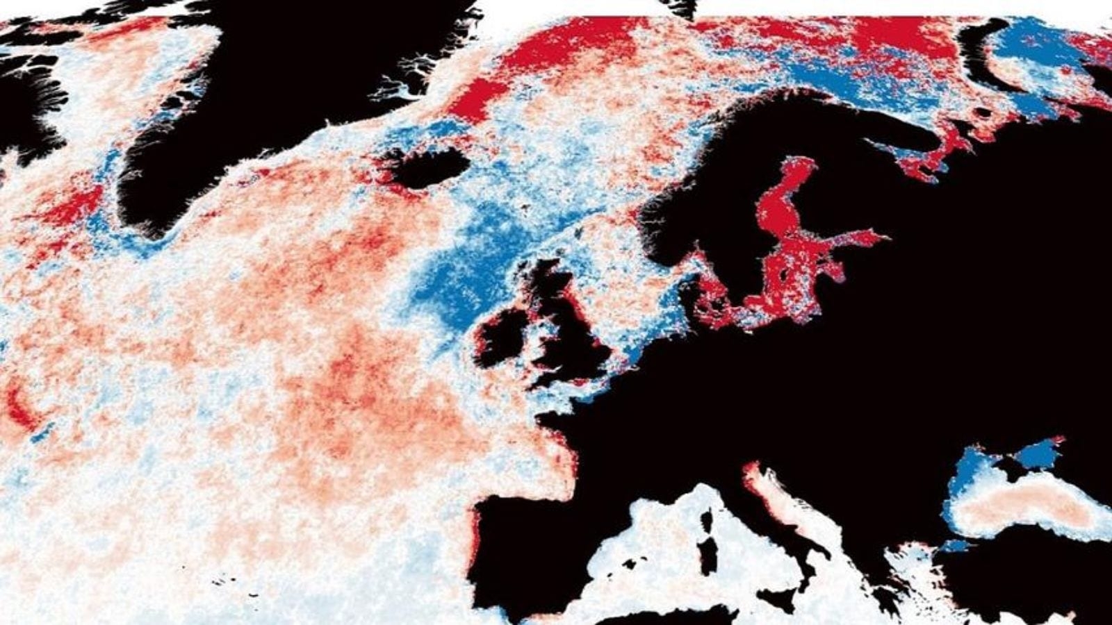 Global oceans are darkening, disrupting life beneath the surface: Study