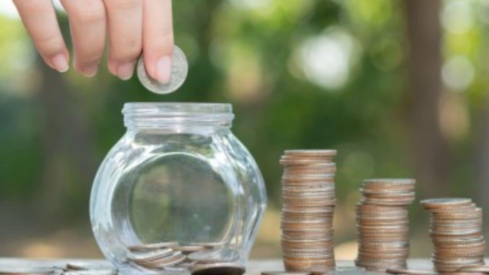 Slow and Steady: How Much of Your Money Belongs in PPF?