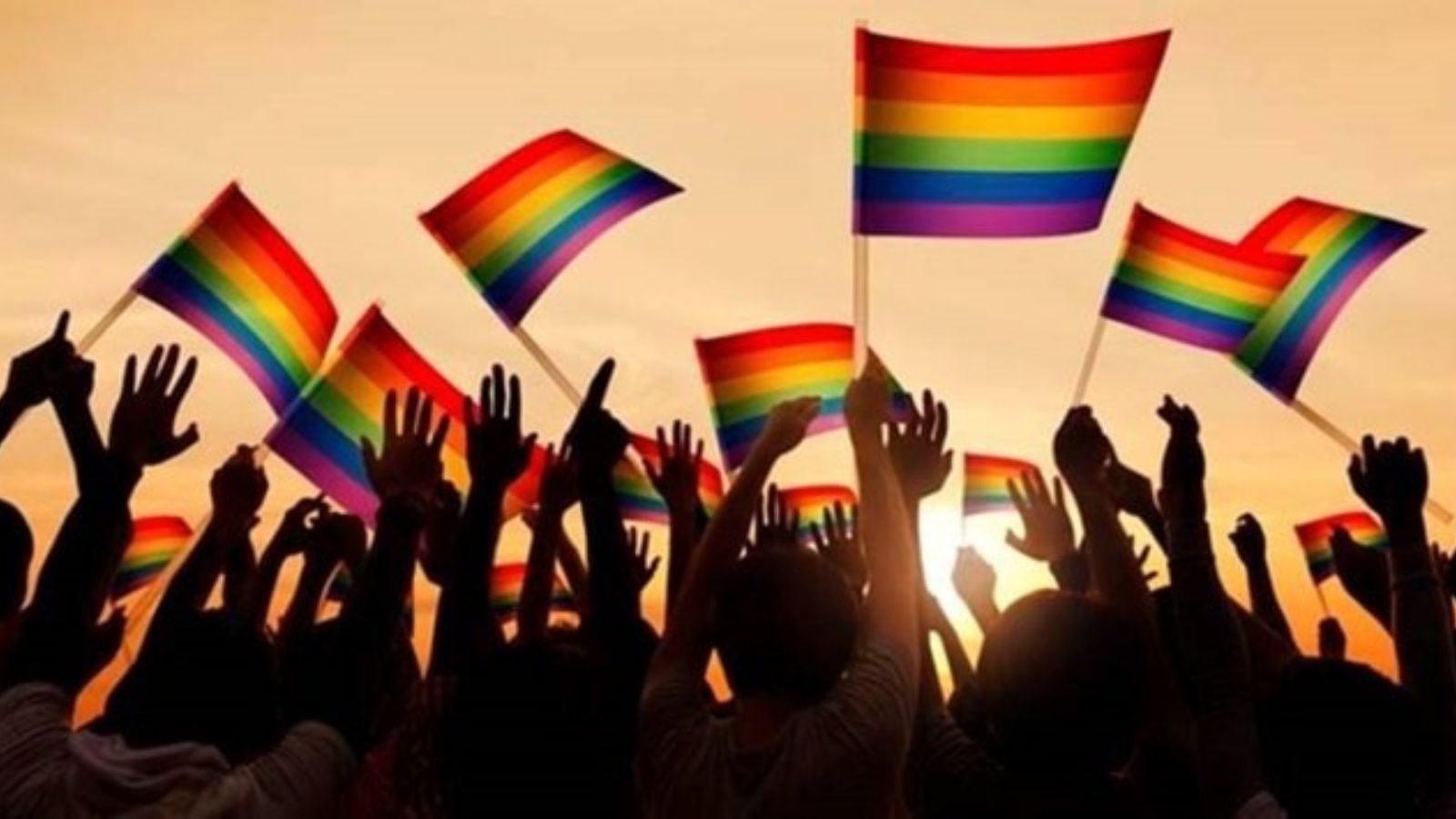 MIST LGBTQ Foundation, 7 other groups join hands to organise Pune Pride March in ‘trying times'