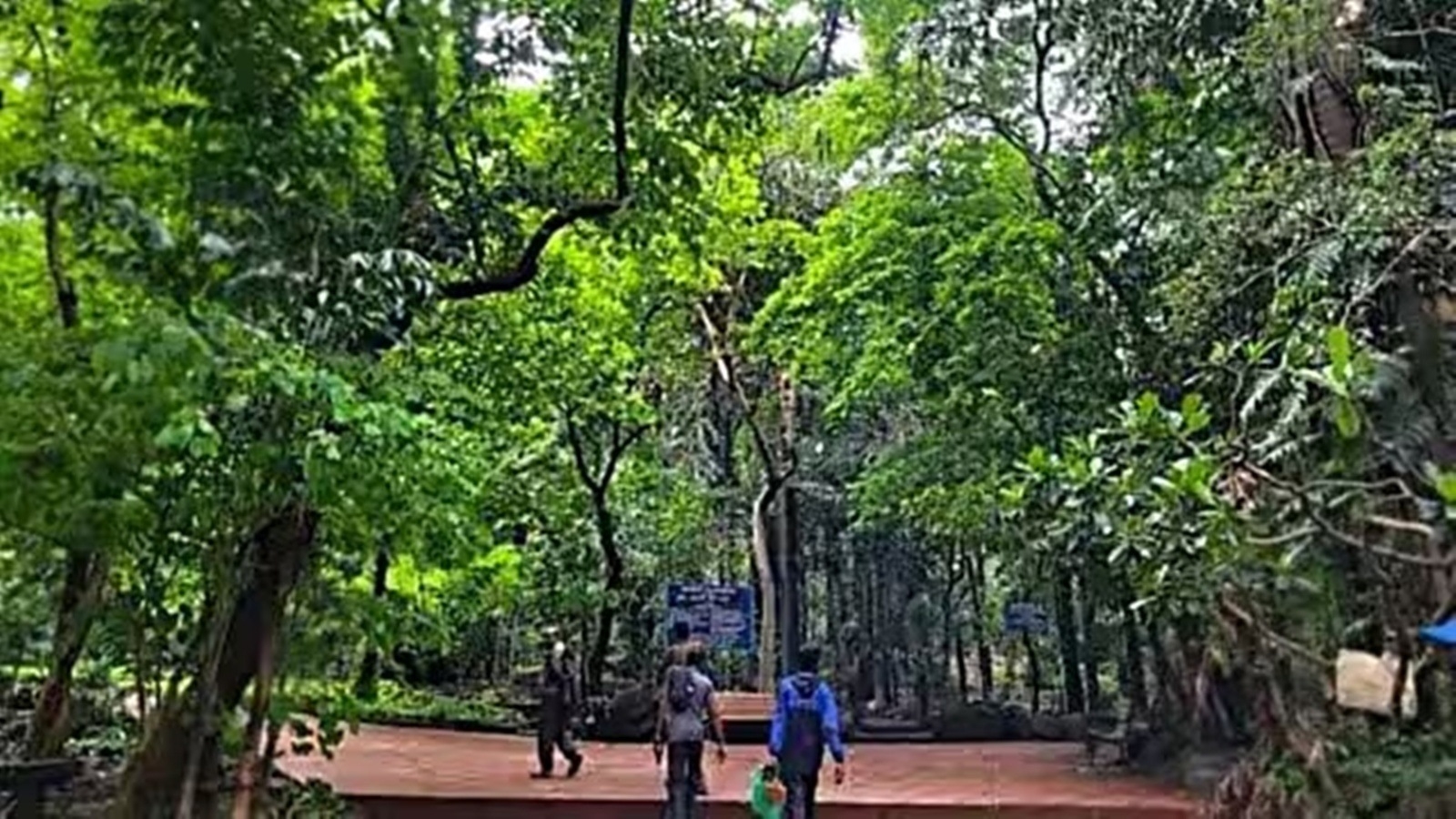 NGO proposes to allow partial development of private land in Pune's Bio Diversity Park area