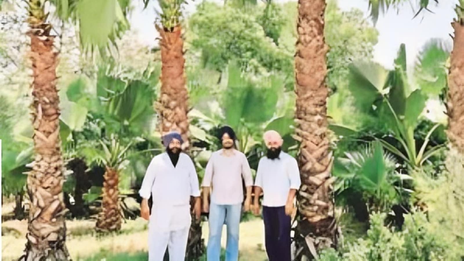 Washingtonia from Kolkata to Punjab: With their ‘palms', brothers trio strike green gold