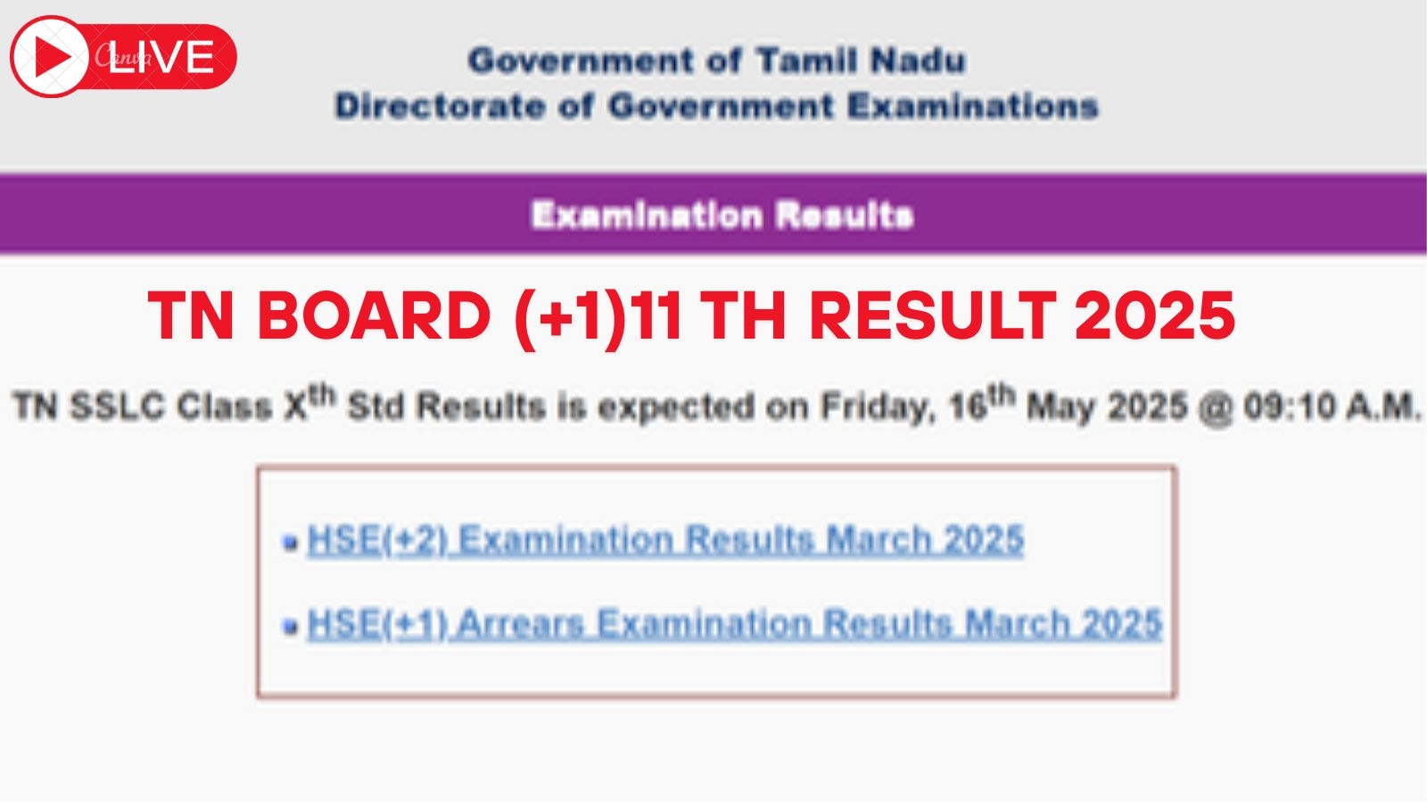 TN Board +1 11th Result 2025, Tnresults.nic.in LIVE Updates: When is HSE +1 result releasing today?