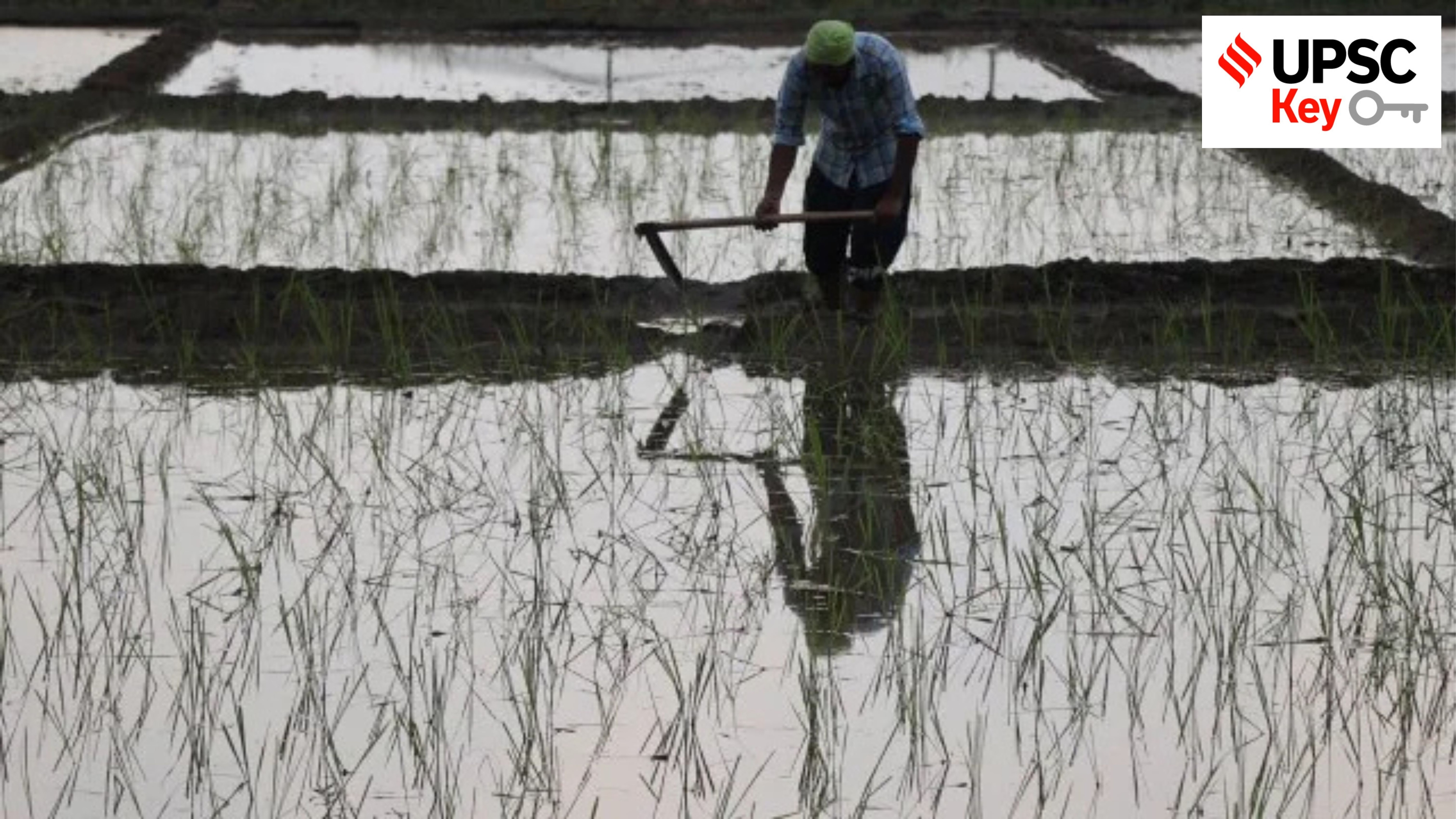 UPSC Key: Genome Edited (GE) Rice, Karakoram Anomaly and Goldilocks Situation