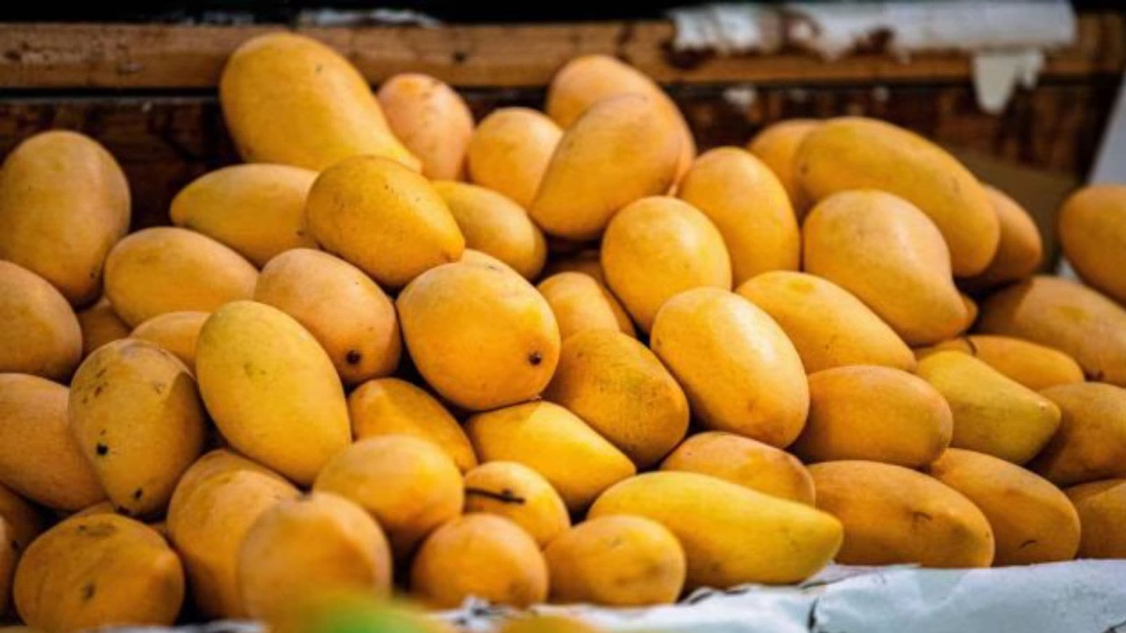 As mango season enters its last phase, a look at global mango desserts still going strong in Pune eateries