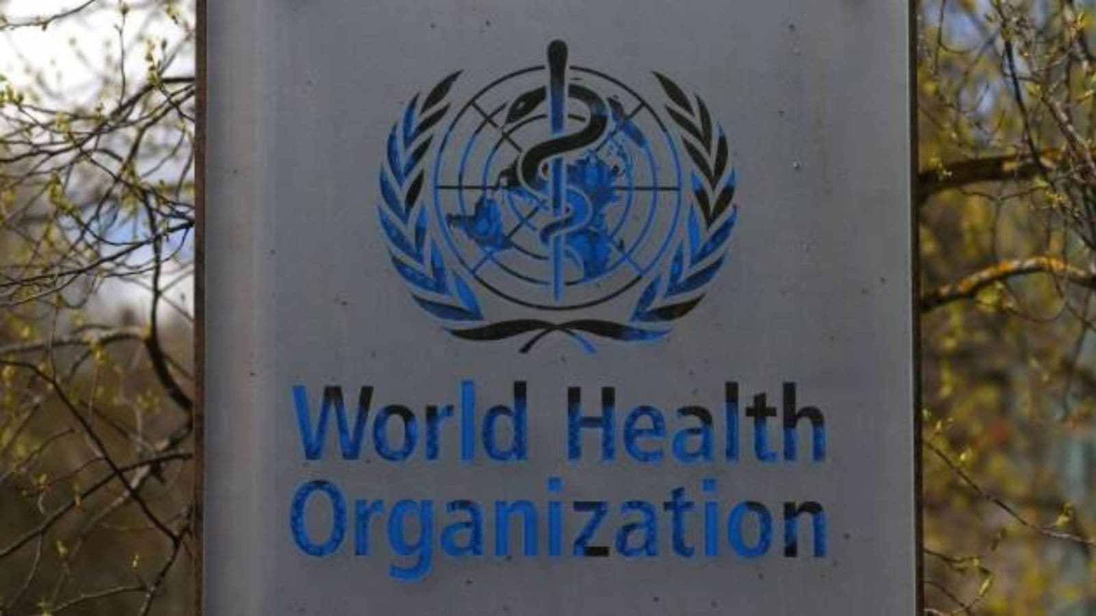 About 56% of men who suffered heart attack were current smokers: Study