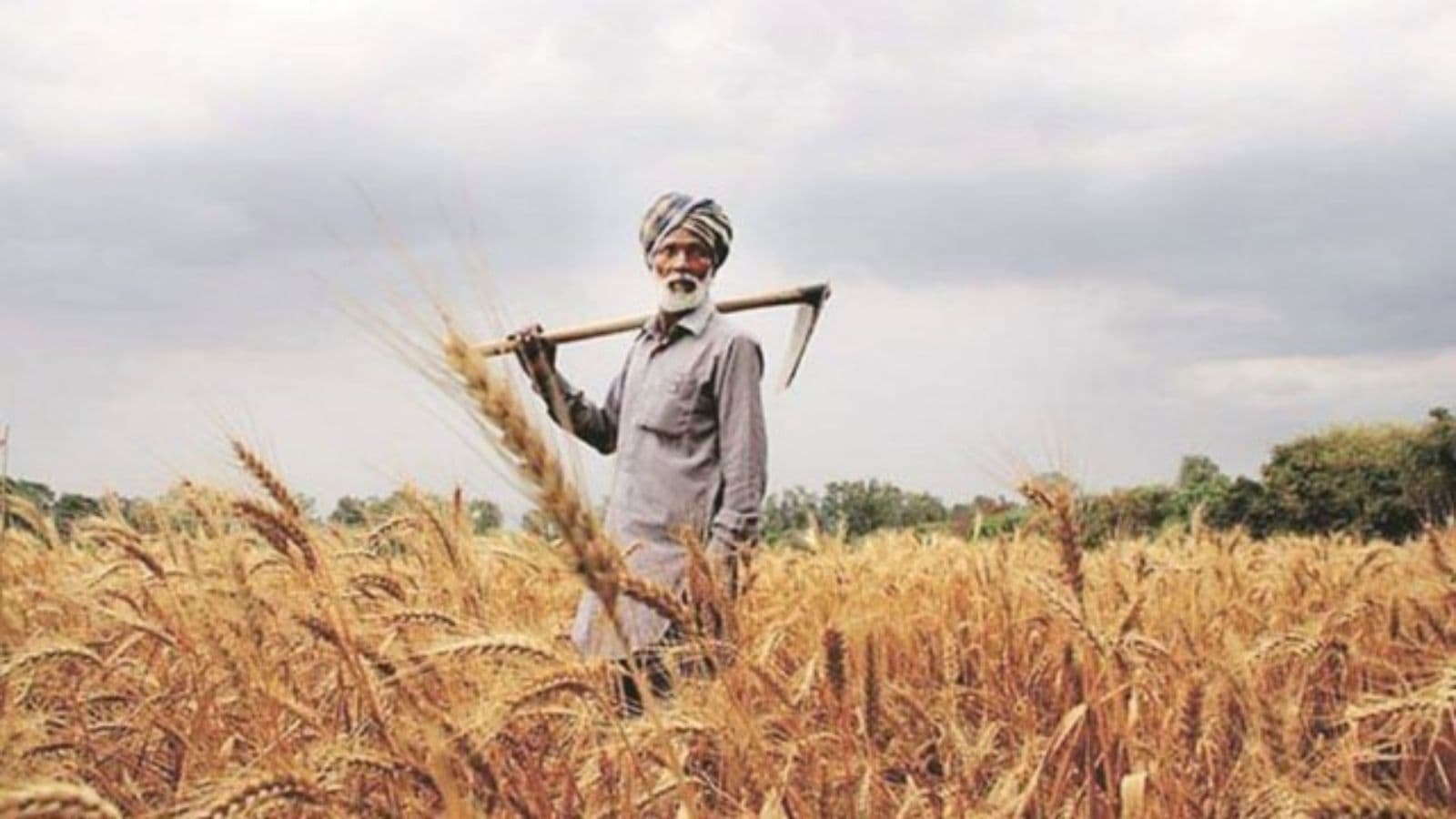 Punjab Agriculture Policy 2023: Stuck in govt red tape, policy that pushes for farm reforms, offers urgent solutions to agrarian crisis