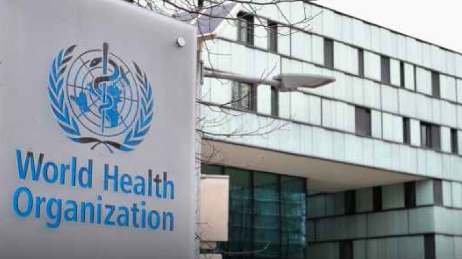 Palestinians to raise flag at WHO for the first time after vote