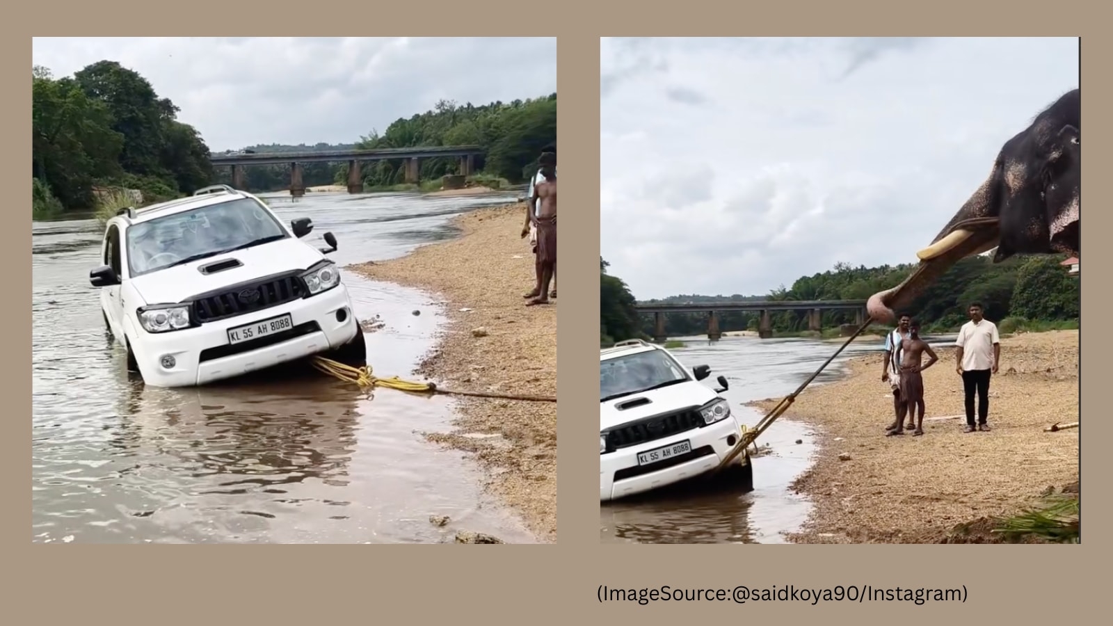 Watch: Elephant pulls stuck SUV out of river in Kerala, the Internet is amazed