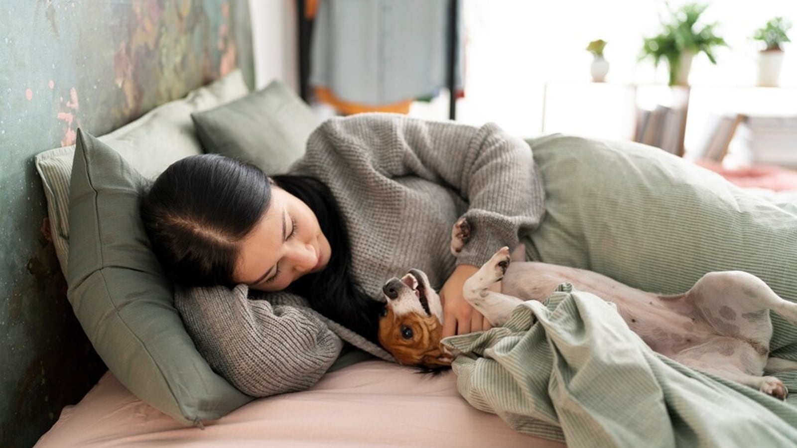 Should you let your dog sleep on your bed? We ask a vet