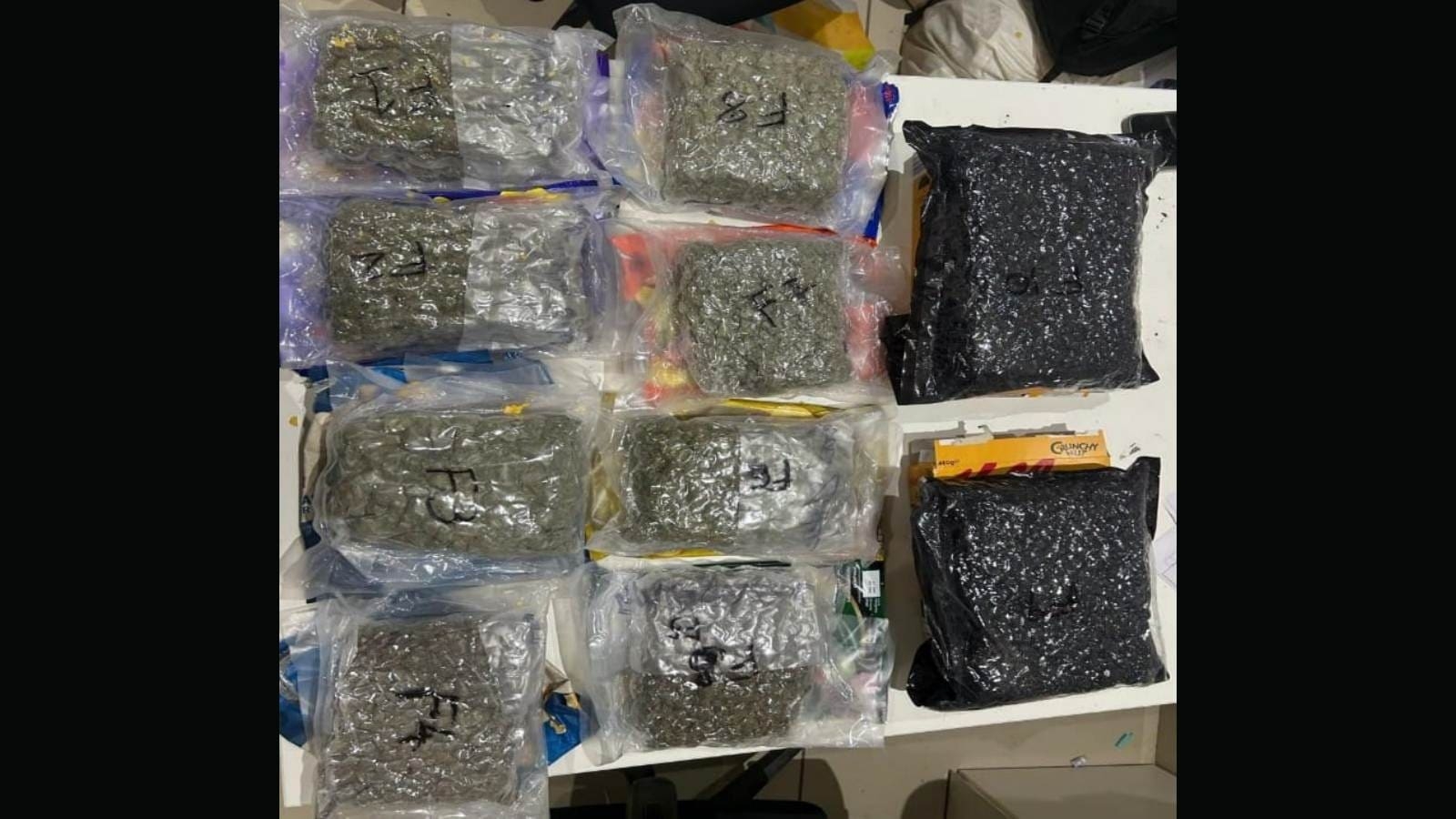 Passengers held with drugs at Pune airport on arrival from Bangkok; Rs 10.3-crore worth hydroponic marijuana, hashish seized