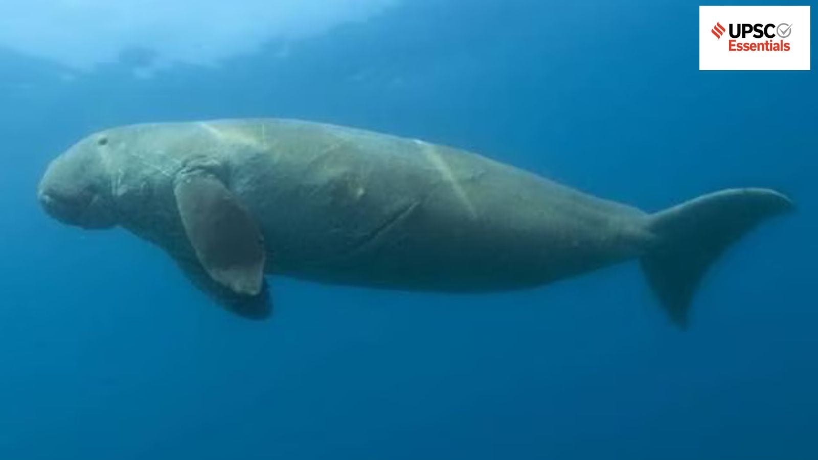 Daily subject-wise quiz : Environment and Geography MCQs on Marine Protected Areas, Miombo woodland and more (Week 109)