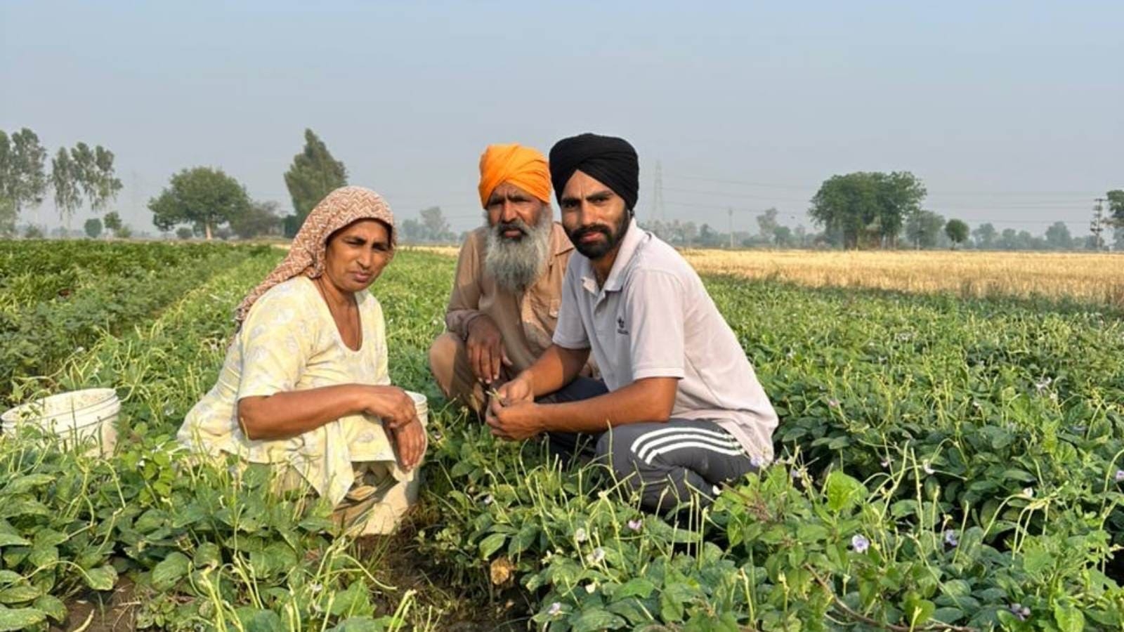 From Debt to Dignity: How a Young Marginal Farmer built a farming empire by growing off-season Kaddu, tori, matar, and Lobhiya