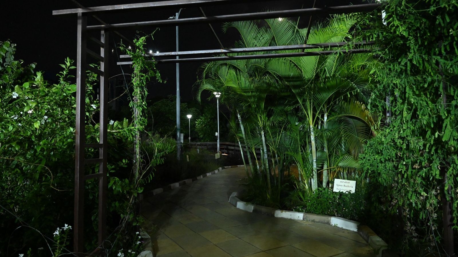 Urban forest with indigenous trees, shrubs inaugurated at Marol Industrial Estate to tackle urban heat