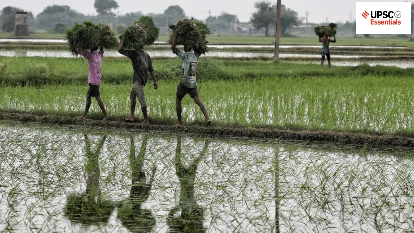 Daily subject-wise quiz : Science and Technology MCQs on genome-edited rice, Shiv Shakti point and more (Week 109)