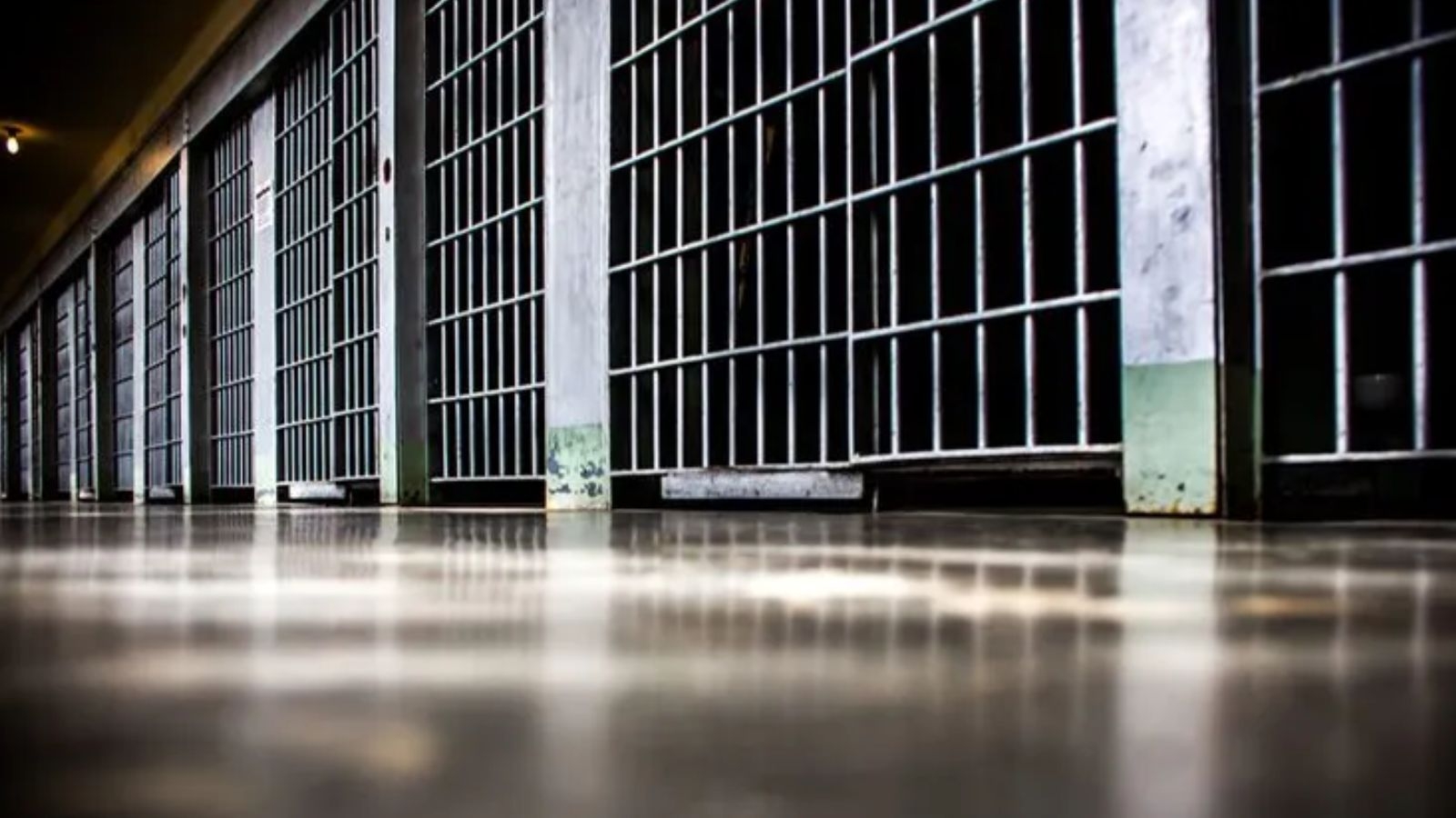 ‘Maoist' from Pune, known as laptop, used multiple identities while on the run for 15 yrs, remanded in custody until May 19: ATS