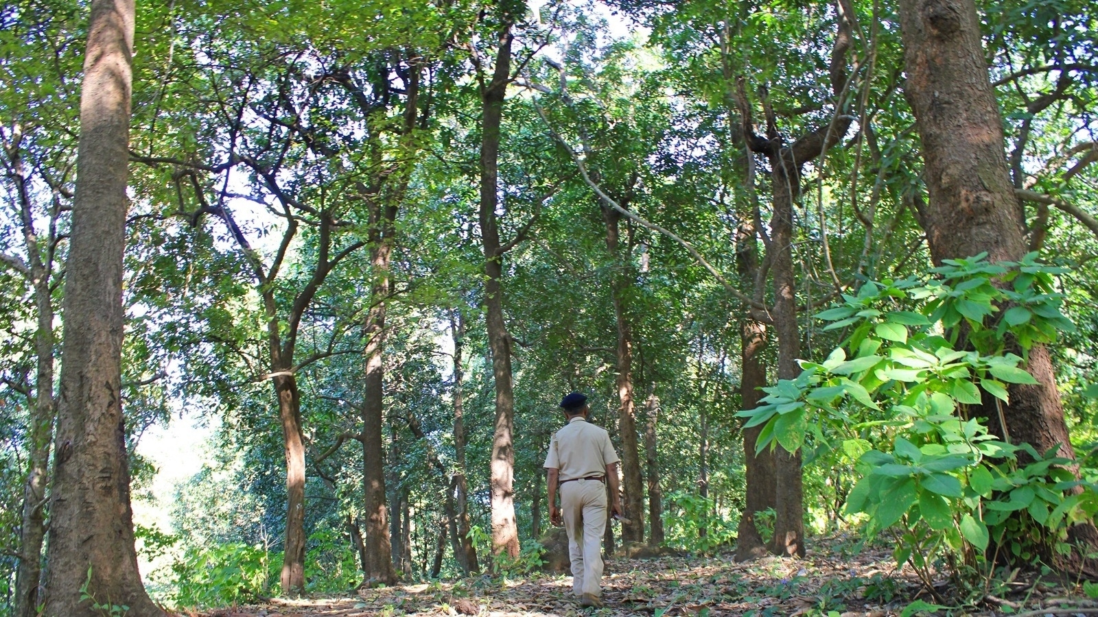 Karnataka government seeks action against two serving IFS officers for allowing Bengaluru land worth Rs 14,000 crore to be declared ‘not a forest'