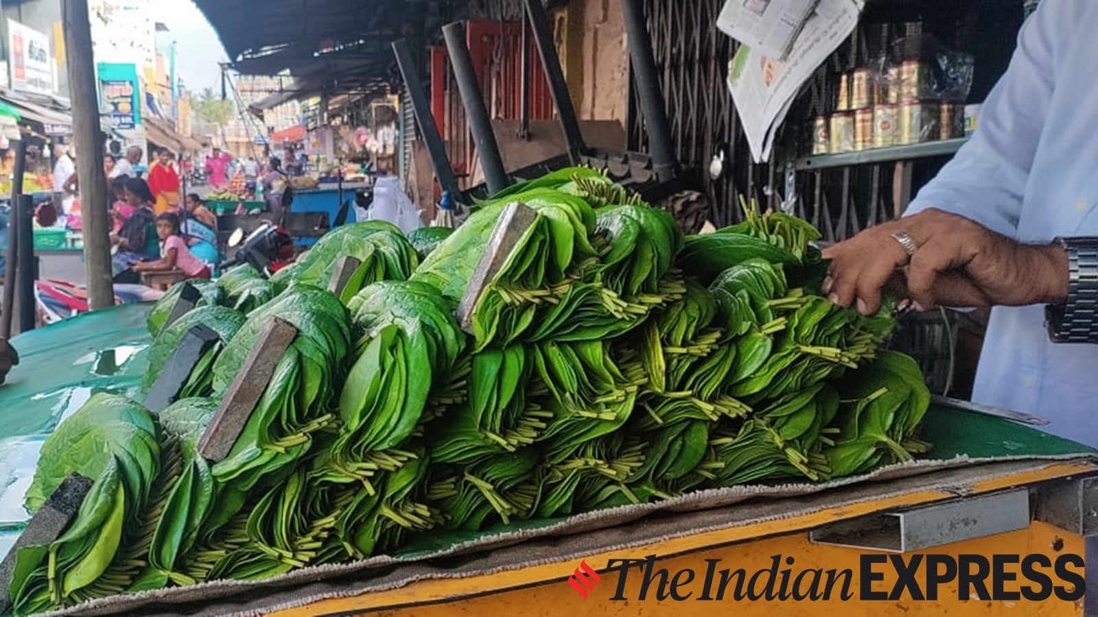 Kumbakonam vetrilai or betel leaf gets GI tag: Why cultivators, sellers need incentives and awareness to benefit