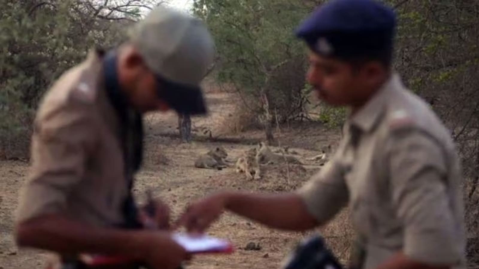 Asiatic lion population in Gujarat goes up from 674 to 891 in 5 years: CM Patel shares census details