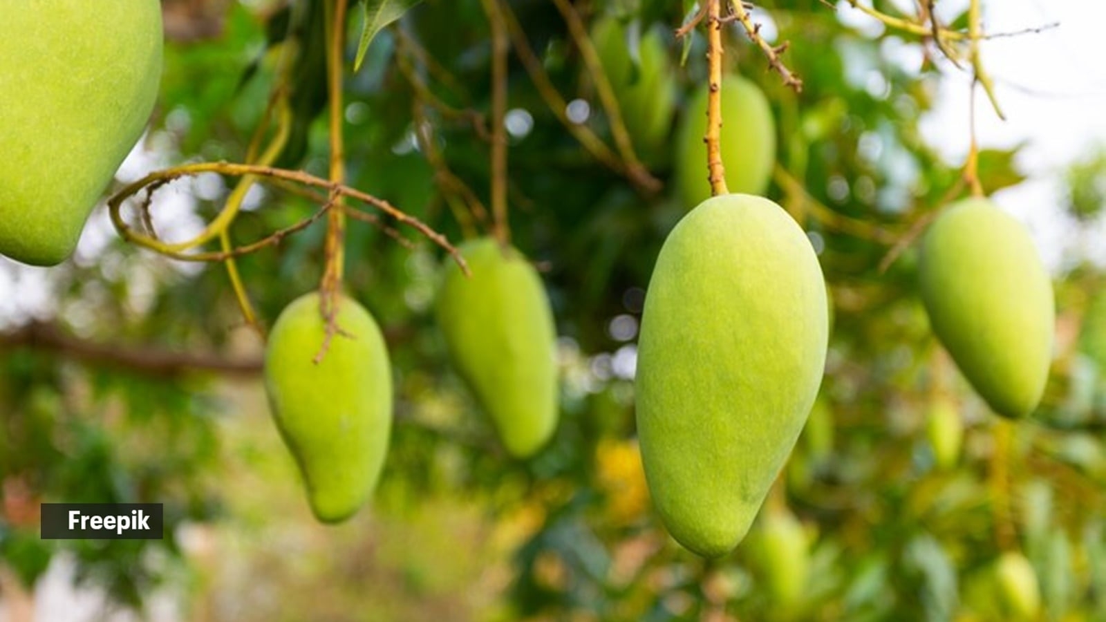 Here's why you should never add sugar to your aam panna
