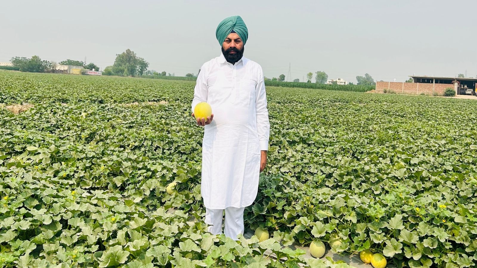 PCS aspirant to millionaire: How a hybrid melon gave this Punjab farmer the sweet taste of success