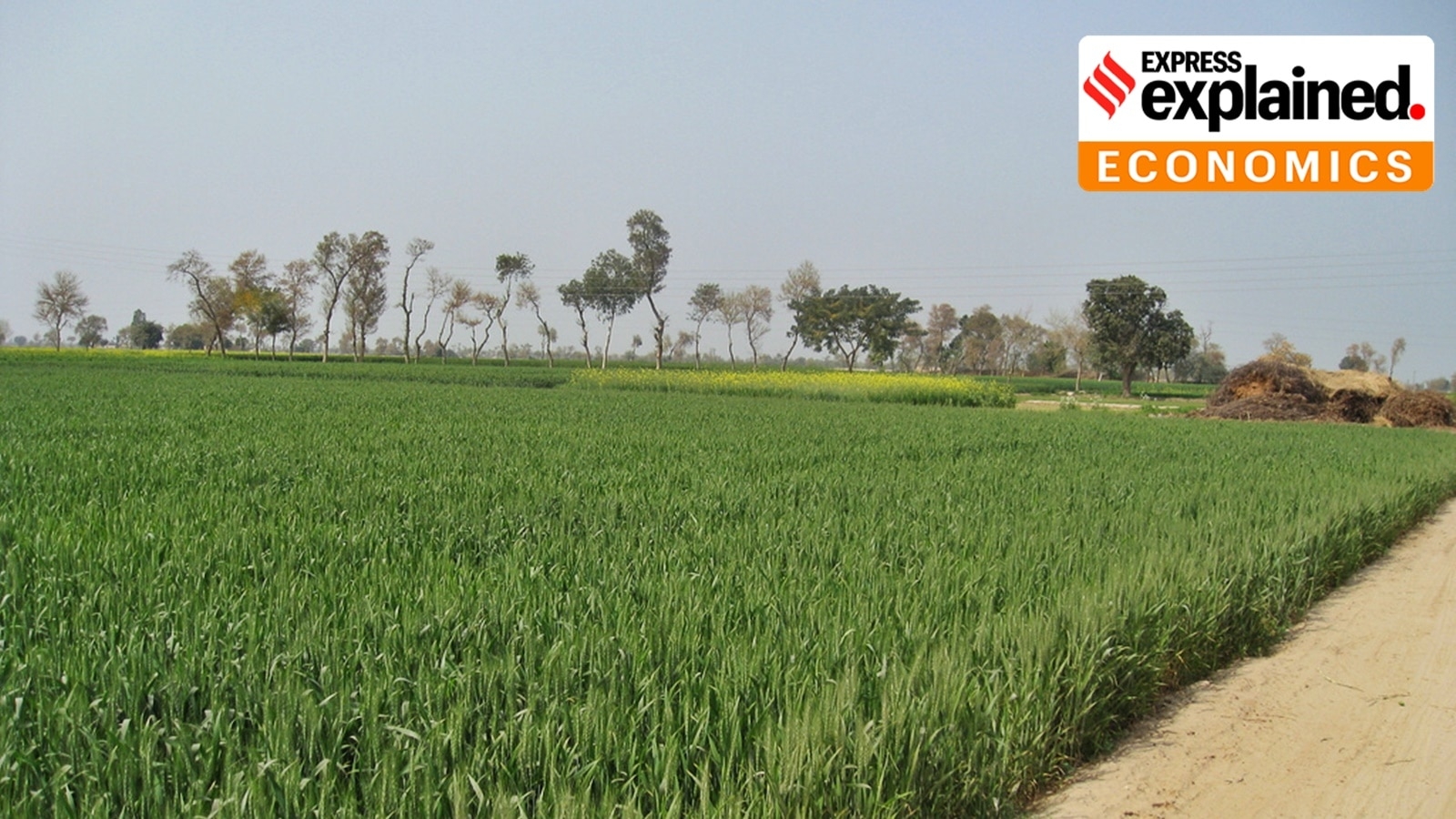 How IMF has forced Pakistan to reform its farm sector
