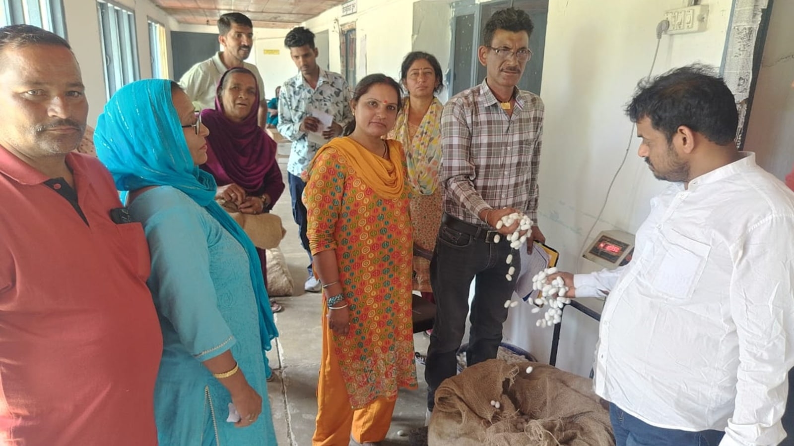 Taking the ‘silk route' in Punjab as Sericulture boosts farm income