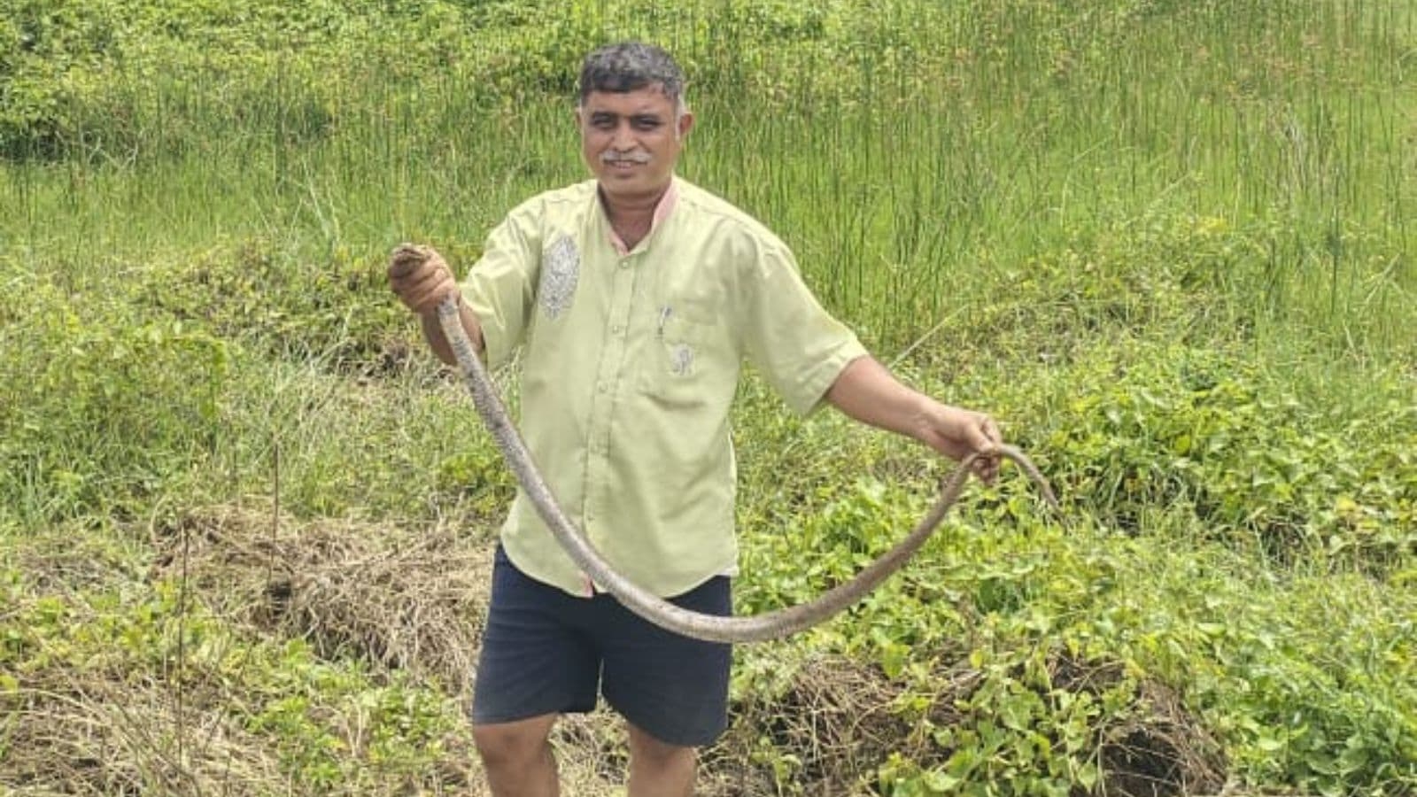 Unsung heroes: Meet Ranganath, a BMTC driver who has rescued over 4000 snakes in 30 years