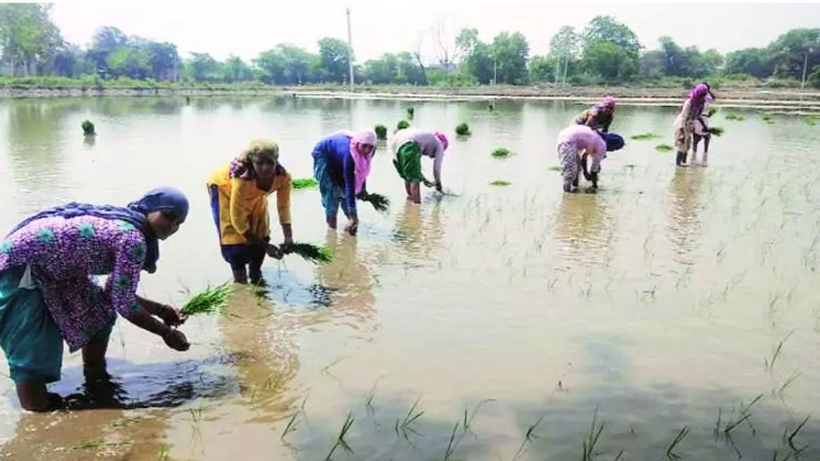 Second national convention of women farmers: Over 500 women farmers gather in Pune to demand land rights, fair wages