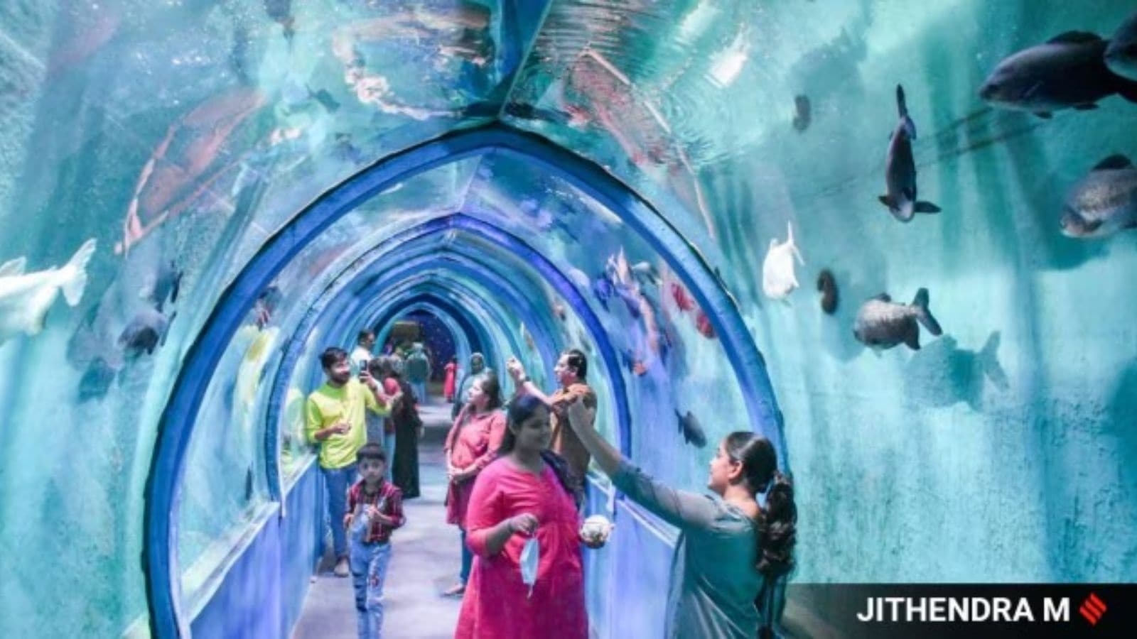 Hyderabad Zoo to set up Singapore-model tunnel-like aquarium