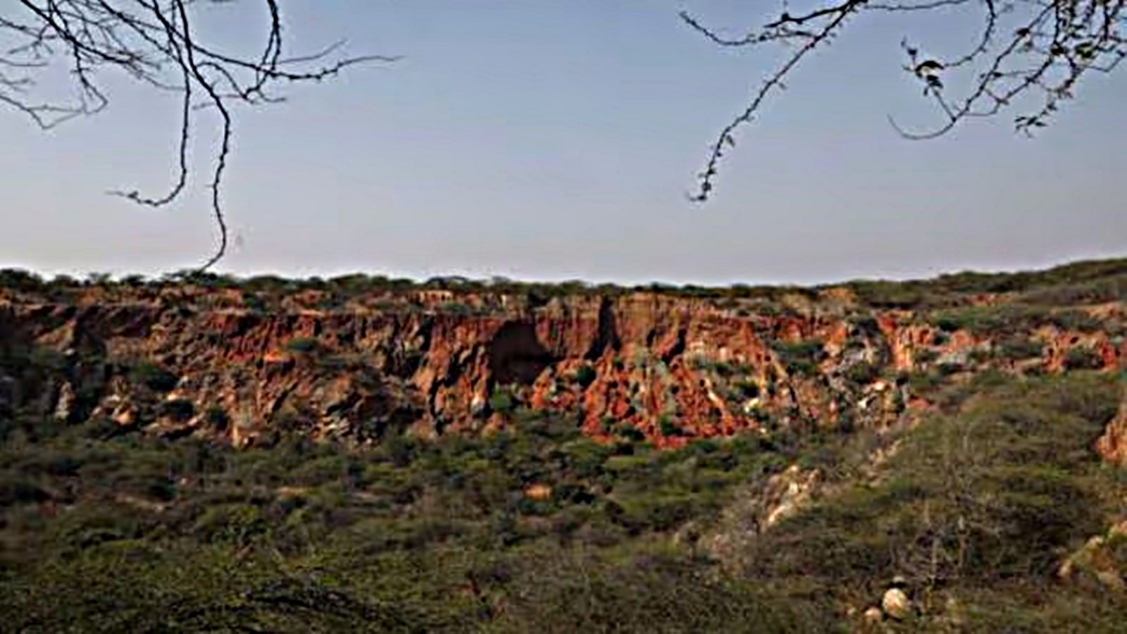 Aravalli Green Wall project: Haryana set to kick off efforts to revive 25,000 hectares of degraded forest areas