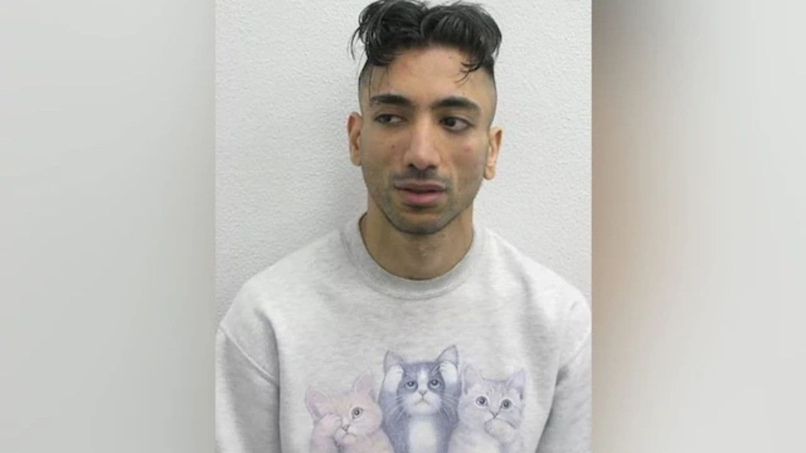 How a convicted paedophile staged a fake wedding to 9-year-old at Disneyland Paris