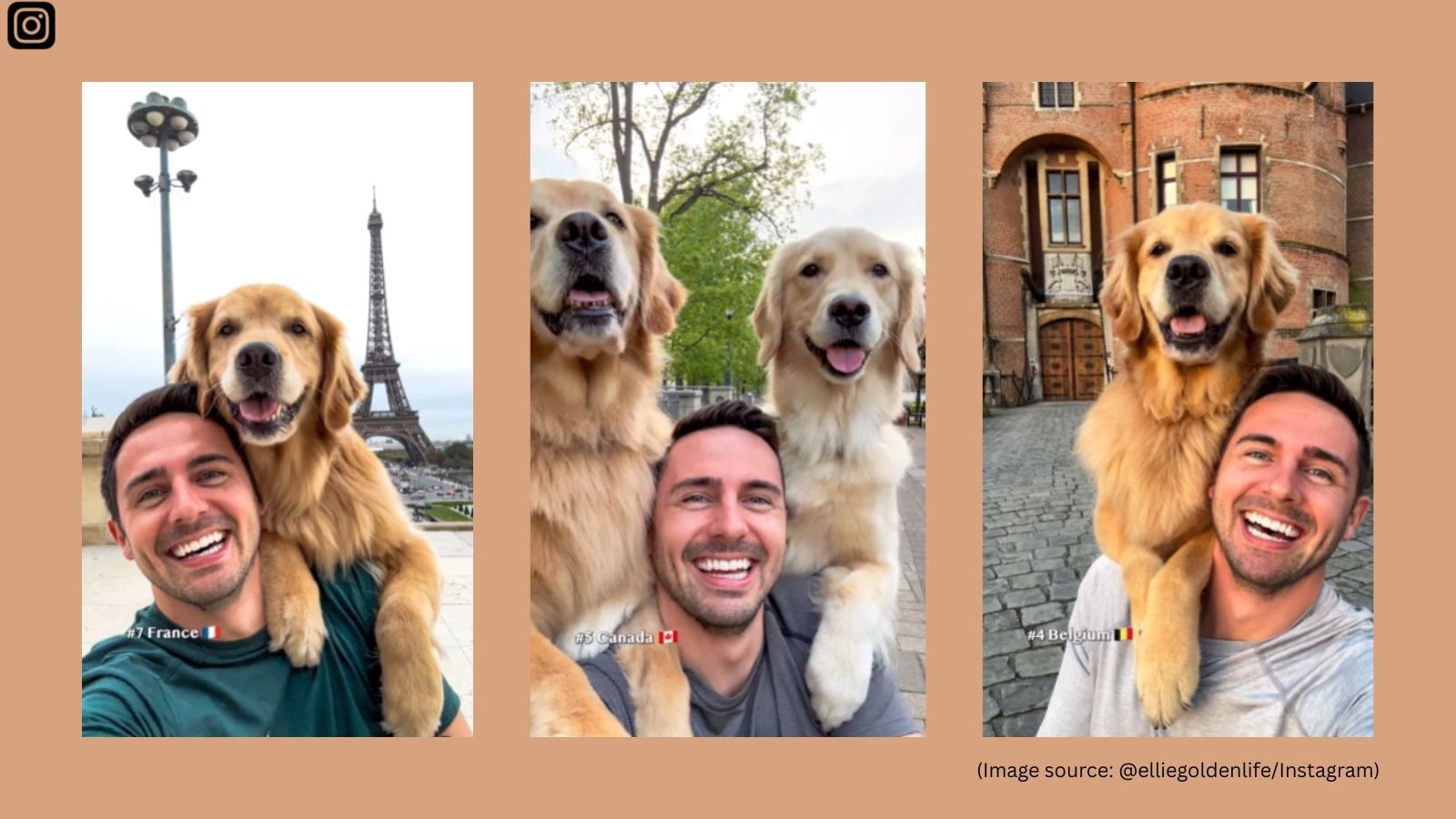 Vlogger travels the world with golden retrievers, takes ‘top 7 global selfies' with them: ‘Happiest person in the world'