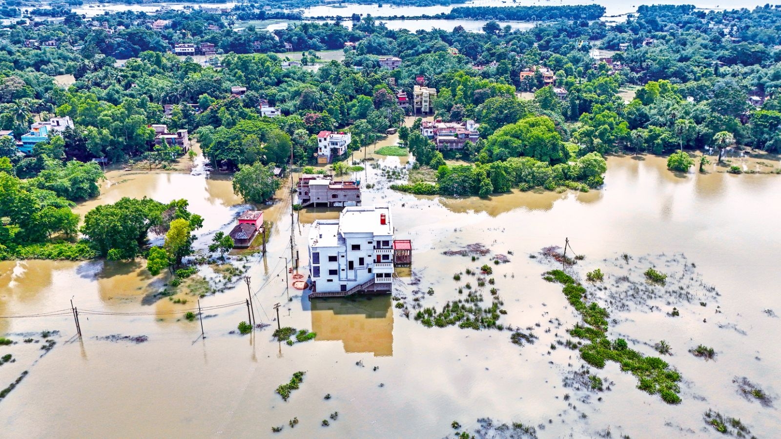 Kolkata and other south Bengal districts to see daily rain until July 1: IMD