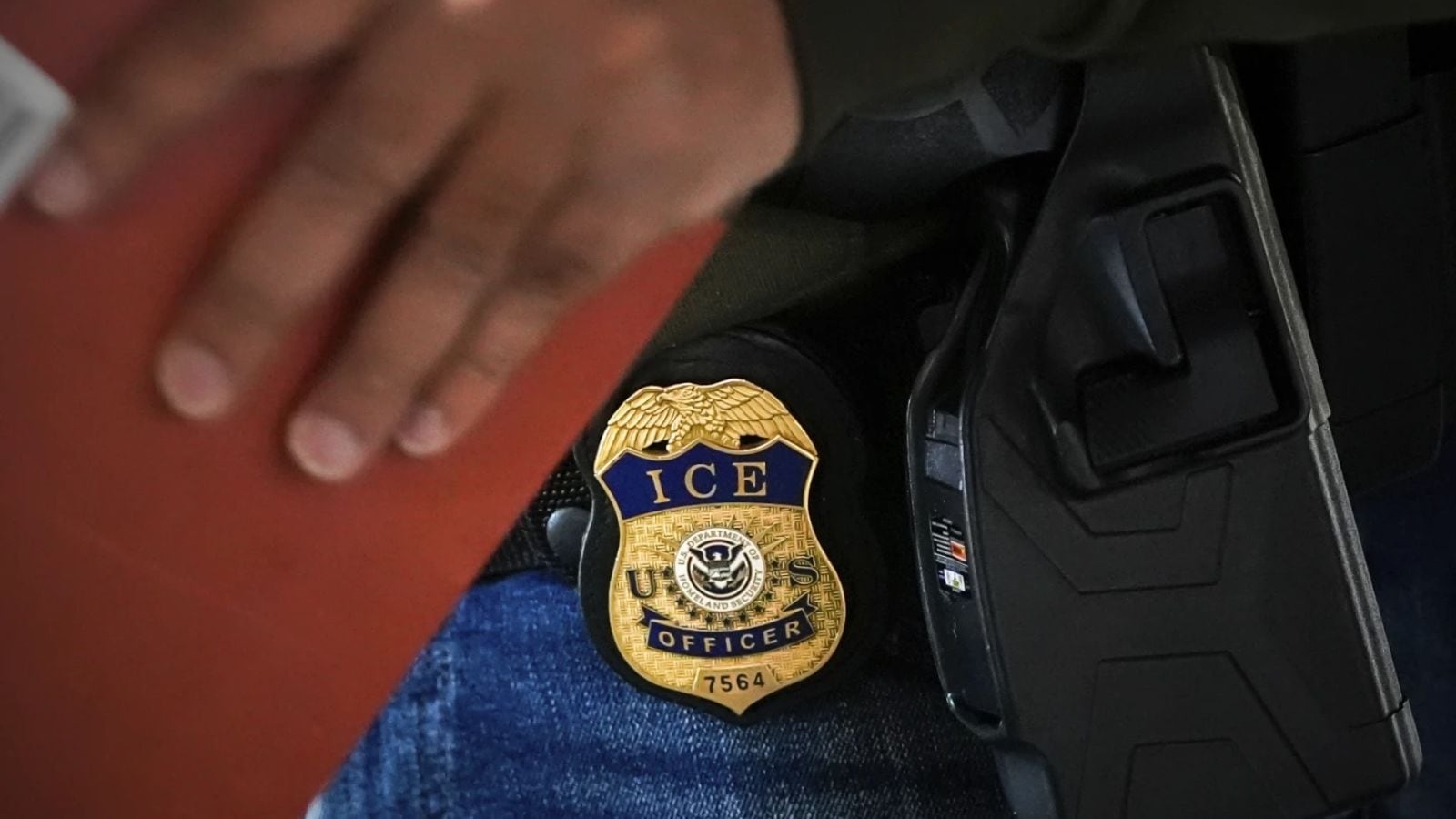‘She was gardening—then vanished': 47 years in US, ICE arrests 64-year-old Iranian woman in New Orleans