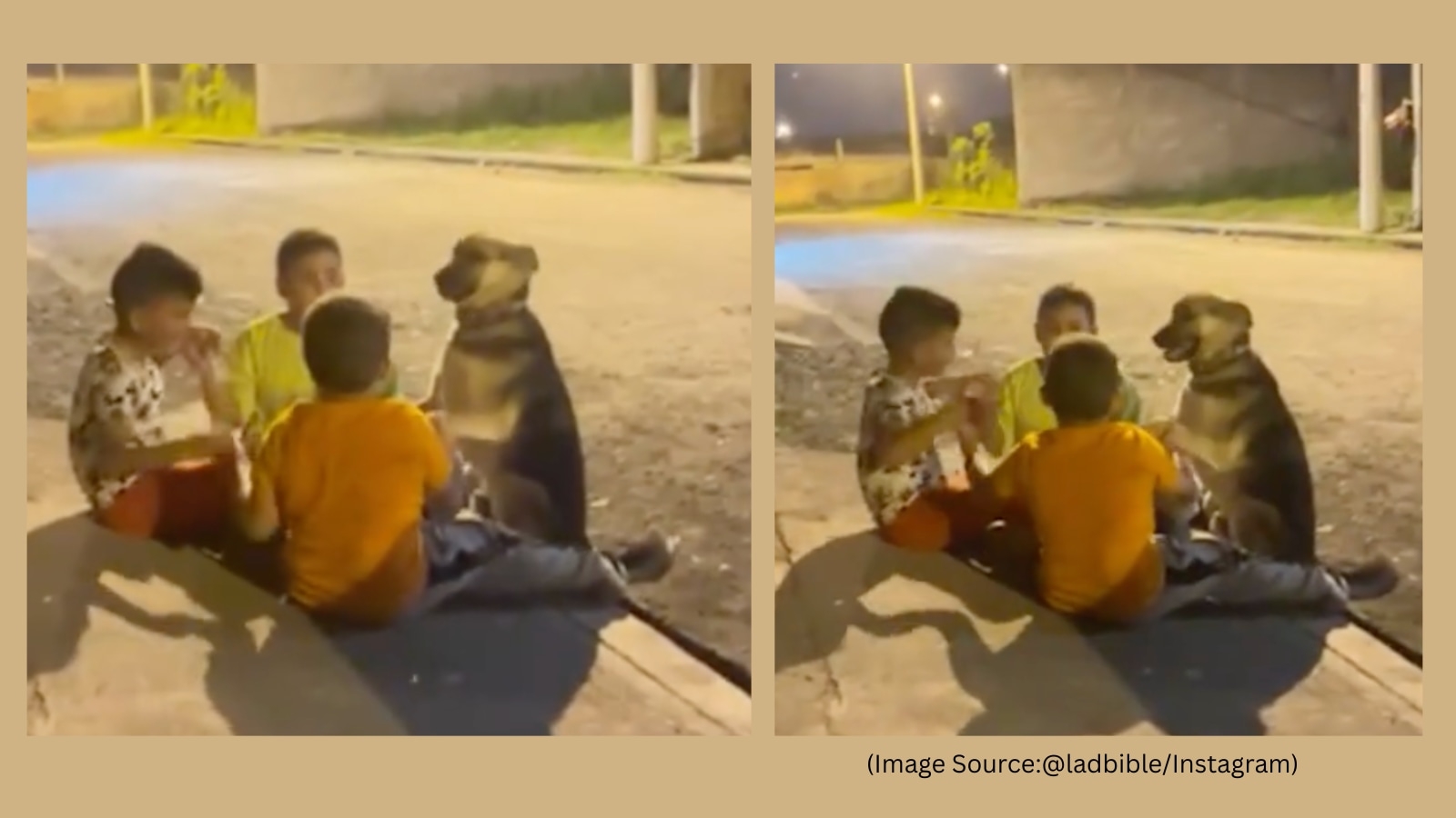 ‘Happy to be included': Heartwarming video shows dog joining a group of little boys as they play